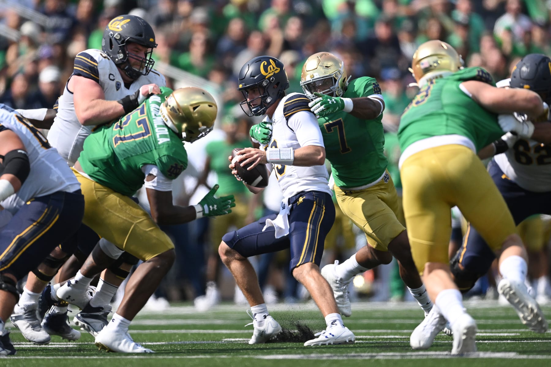 SOUTH BEND, IN - SEPTEMBER 17: California Golden Bears quarterback Jack Plummer (13) battles with Notre Dame Fighting Irish defensive lineman Isaiah Foskey (7) during a game between the California Golden Bears and the Notre Dame Fighting Irish on September 17, 2022 at Notre Dame Stadium, in South Bend, IN. (Photo by Robin Alam/Icon Sportswire via Getty Images)