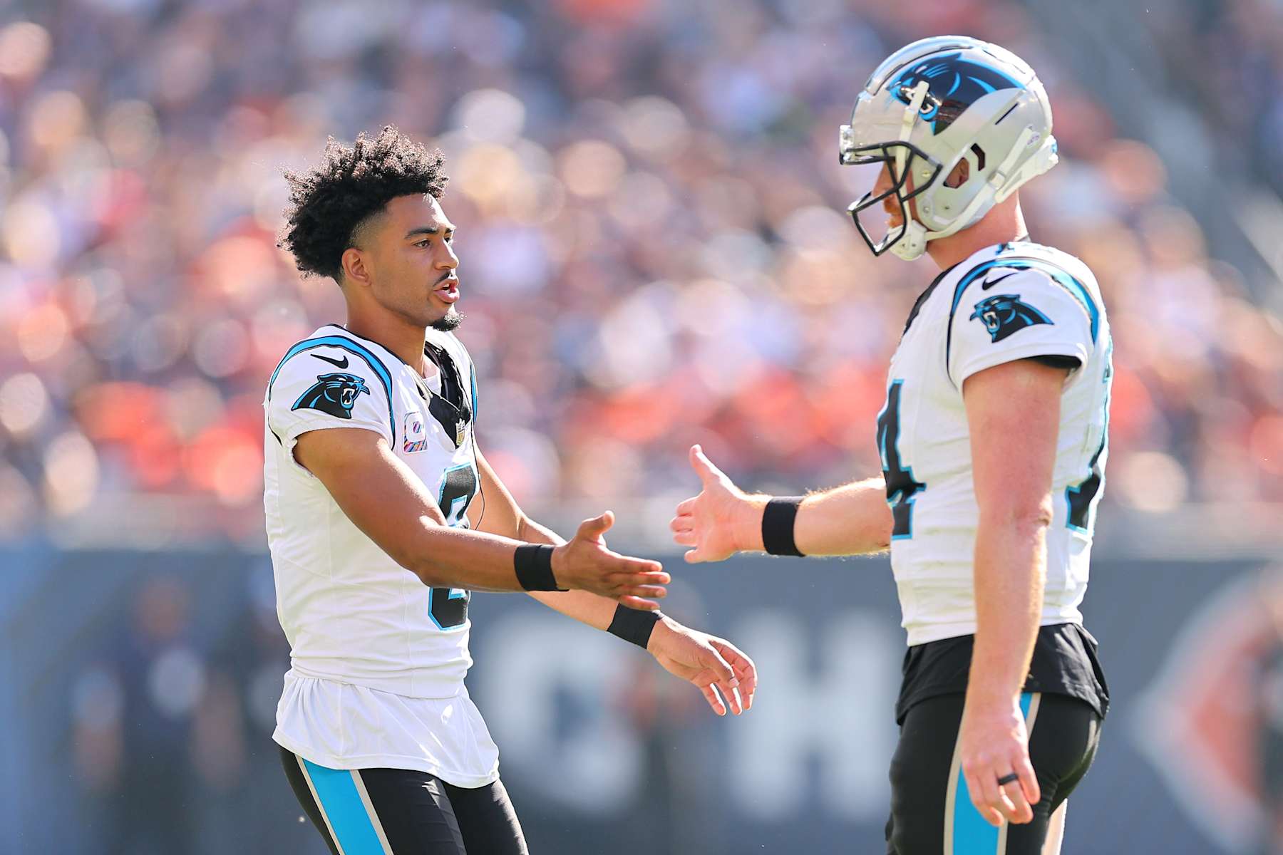 CHICAGO, ILLINOIS - OCTOBER 06: Bryce Young #9 of the Carolina Panthers high fives Andy Dalton #14 against the Chicago Bears at Soldier Field on October 06, 2024 in Chicago, Illinois. (Photo by Michael Reaves/Getty Images)