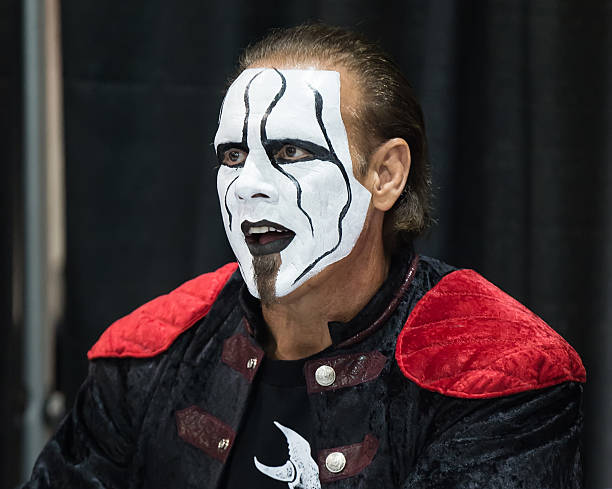 PHILADELPHIA, PA - MAY 09: WWE Professional Wrestler Steve Borden aka Sting attends day 3 of Wizard World Comic Con at Pennsylvania Convention Center on May 9, 2015 in Philadelphia, Pennsylvania. (Photo by Gilbert Carrasquillo/Getty Images) PHILADELPHIA, PA - MAY 09: WWE Professional Wrestler Steve Borden aka Sting attends day 3 of Wizard World Comic Con at Pennsylvania Convention Center on May 9, 2015 in Philadelphia, Pennsylvania. (Photo by Gilbert Carrasquillo/Getty Images)