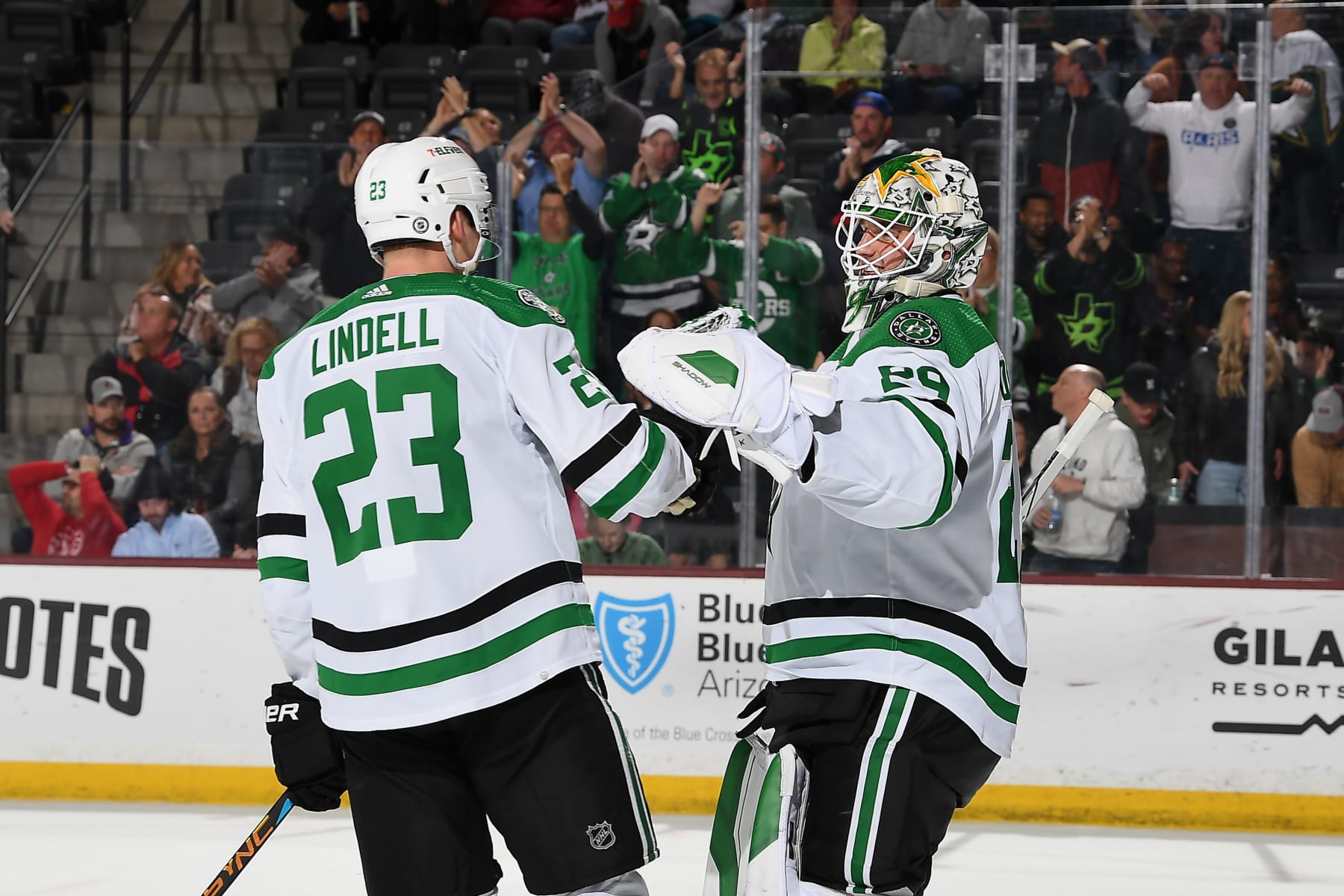 Esa Lindell and Jake Oettinger