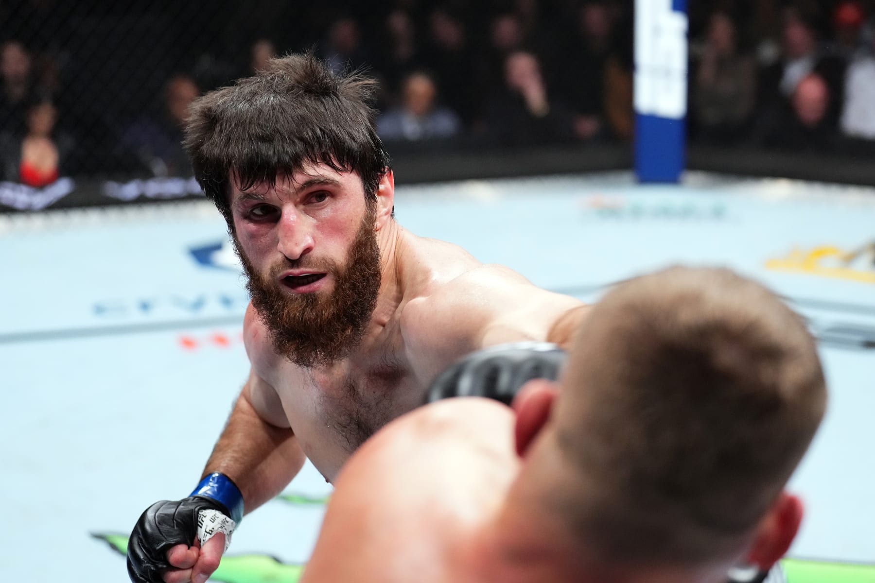 Magomed Ankalaev