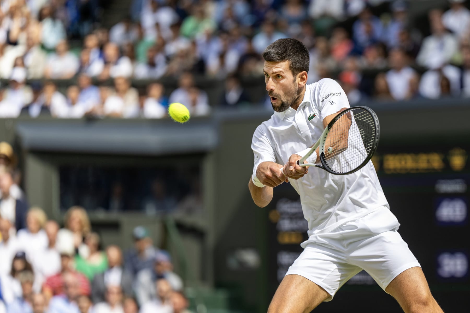 LONDON, ENGLAND - JULY 16.   Novak Djokovic of Serbia in action against Carlos Alcaraz of Spain in the Gentlemen's Singles Final match on Centre Court during the Wimbledon Lawn Tennis Championships at the All England Lawn Tennis and Croquet Club at Wimbledon on July 16, 2023, in London, England. (Photo by Tim Clayton/Corbis via Getty Images)
