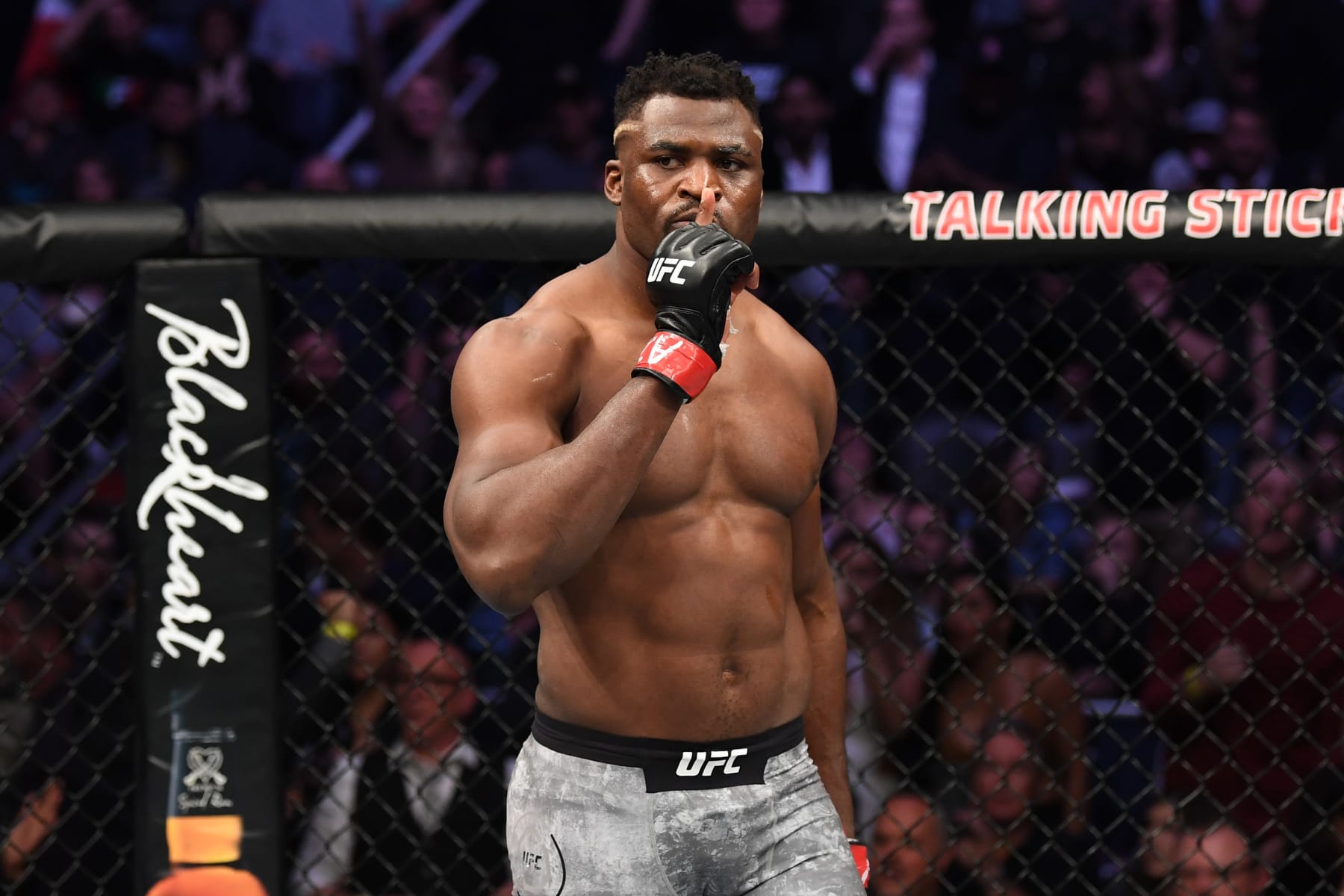 PHOENIX, ARIZONA - FEBRUARY 17:  Francis Ngannou of Cameroon celebrates his KO victory over Cain Velasquez in their heavyweight bout during the UFC Fight Night event at Talking Stick Resort Arena on February 17, 2019 in Phoenix, Arizona. (Photo by Josh Hedges/Zuffa LLC/Zuffa LLC via Getty Images)
