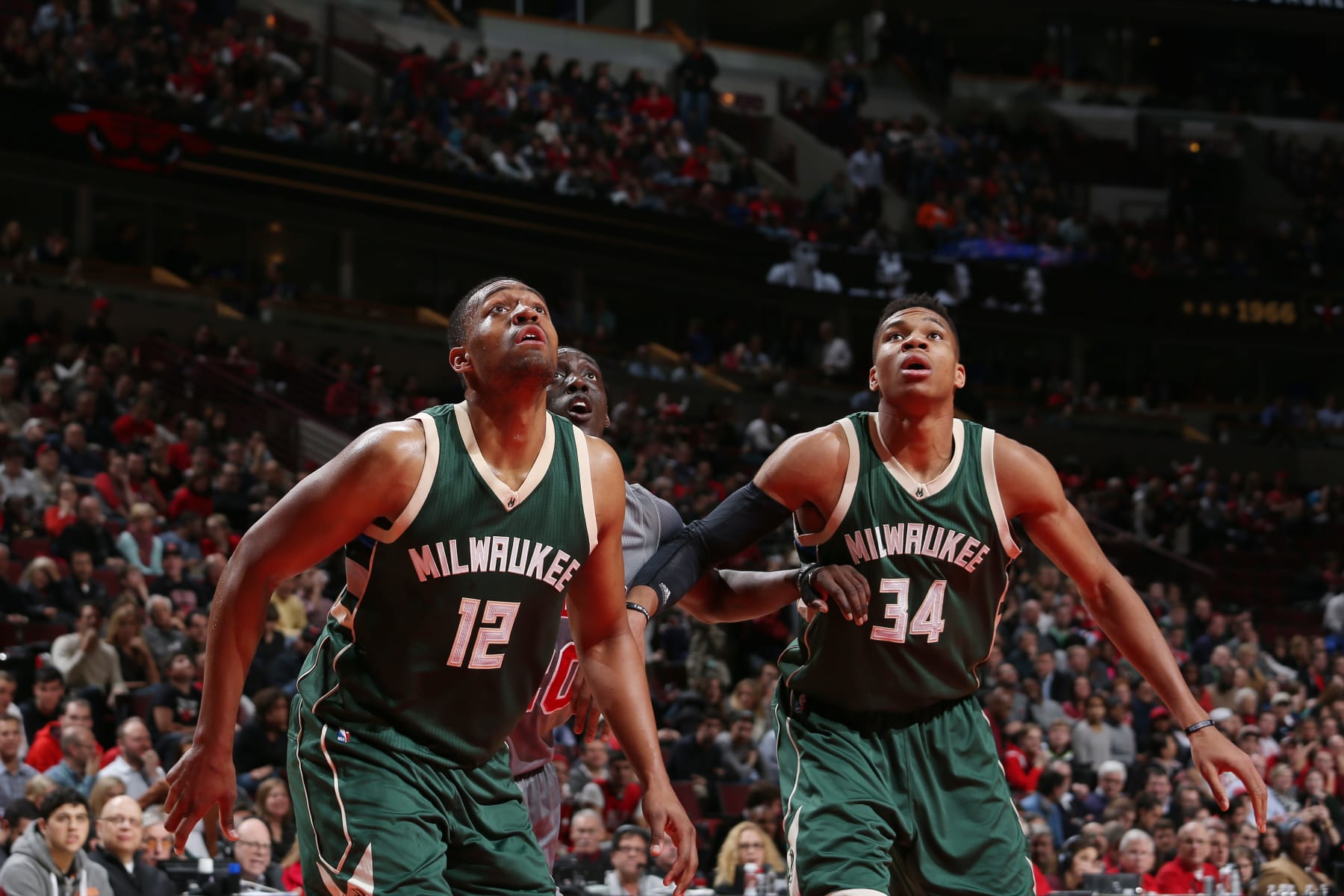 CHICAGO, IL - JANUARY 5:  Jabari Parker #12 of the Milwaukee Bucks and Giannis Antetokounmpo #34 of the Milwaukee Bucks box out against Tony Snell #20 of the Chicago Bulls on January 5, 2016 at the United Center in Chicago, Illinois. NOTE TO USER: User expressly acknowledges and agrees that, by downloading and or using this Photograph, user is consenting to the terms and conditions of the Getty Images License Agreement. Mandatory Copyright Notice: Copyright 2016 NBAE (Photo by Gary Dineen/NBAE via Getty Images)