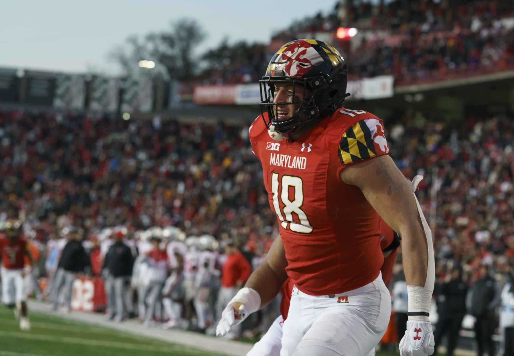 COLLEGE PARK, MD - NOVEMBER 19: Maryland Terrapins tight end CJ Dippre (18) after going in for a touchdown in the second quarter during a Big10 football game between the Maryland Terrapins and the Ohio State Buckeyes on November 19, 2022, at SECU Stadium, in College Park, Maryland.
(Photo by Tony Quinn/Icon Sportswire via Getty Images)