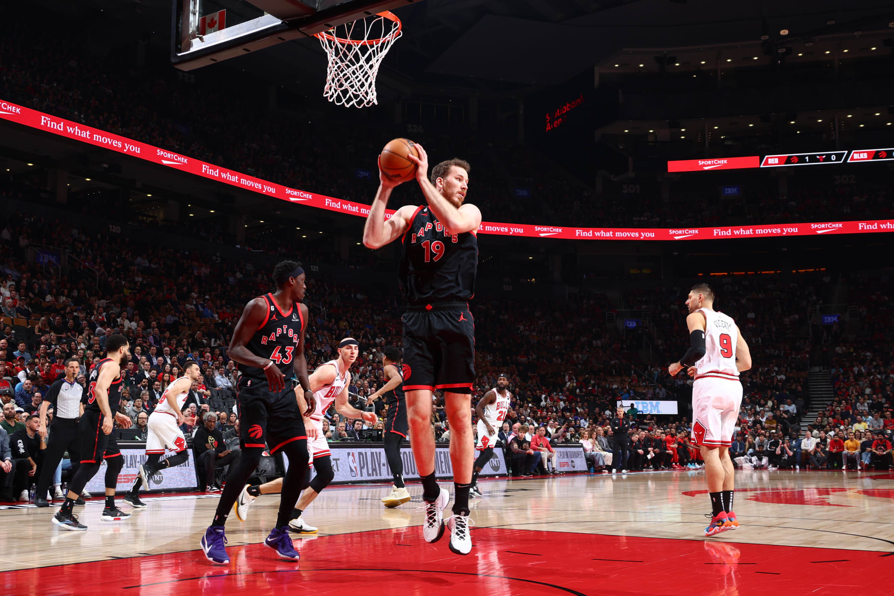 TORONTO, CANADA - APRIL 12: Jakob Poeltl #19 of the Toronto Raptors grabs a rebound against the Chicago Bullsduring the 2023 Play-In Tournament on April 12, 2023 at the Scotiabank Arena in Toronto, Ontario, Canada.  NOTE TO USER: User expressly acknowledges and agrees that, by downloading and or using this Photograph, user is consenting to the terms and conditions of the Getty Images License Agreement.  Mandatory Copyright Notice: Copyright 2023 NBAE (Photo by Vaughn Ridley/NBAE via Getty Images)