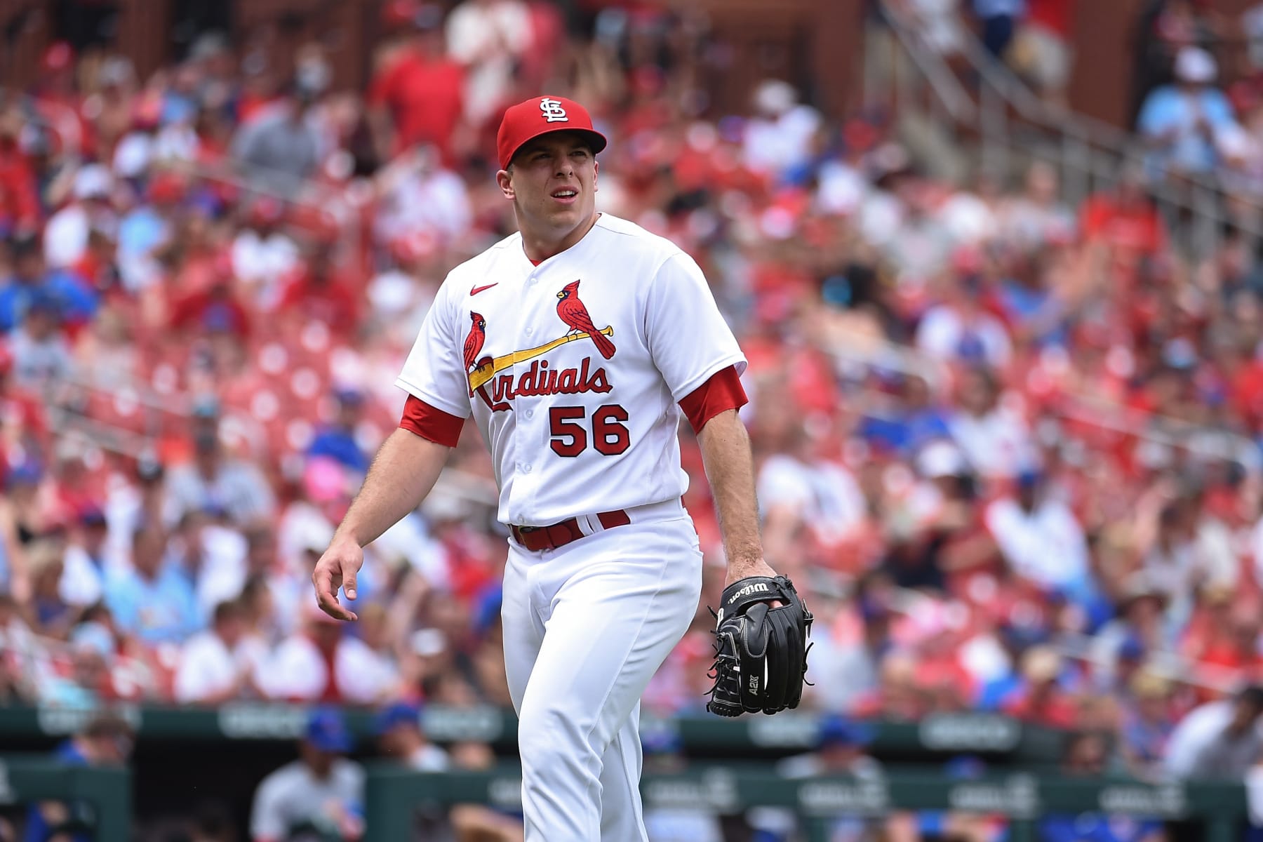 ST LOUIS, MO - AUGUST 04: Ryan Helsley #56 of the St. Louis Cardinals looks on during a game against the Chicago Cubs in game one of a double header at Busch Stadium on August 4, 2022 in St Louis, Missouri. (Photo by Joe Puetz/Getty Images)