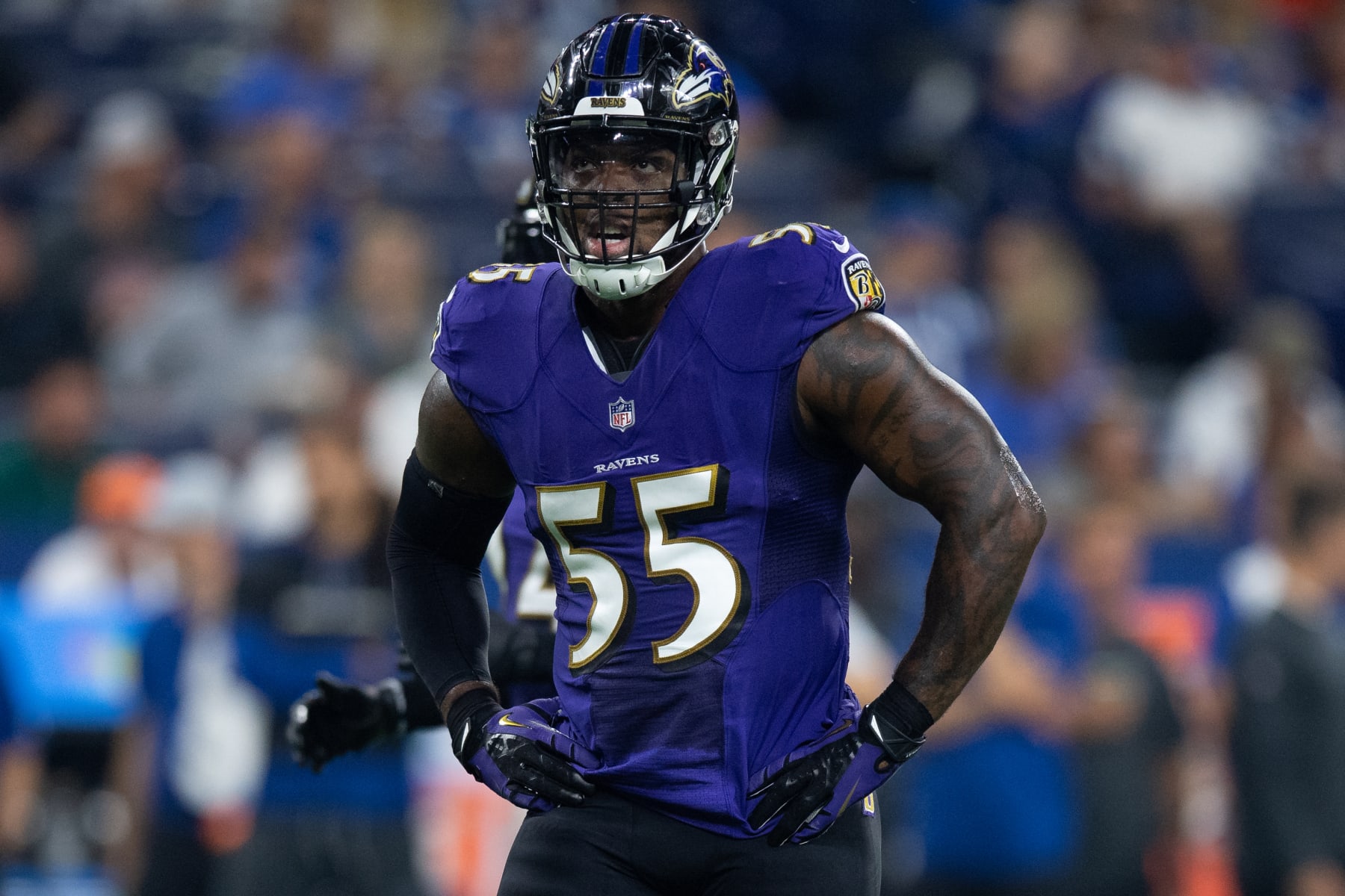 INDIANAPOLIS, IN - AUGUST 20: Baltimore Ravens outside linebacker Terrell Suggs (55) watches a replay on the scoreboard during the NFL preseason game between the Indianapolis Colts and Baltimore Ravens on August 20, 2018, at Lucas Oil Stadium in Indianapolis, IN. (Photo by Zach Bolinger/Icon Sportswire via Getty Images)