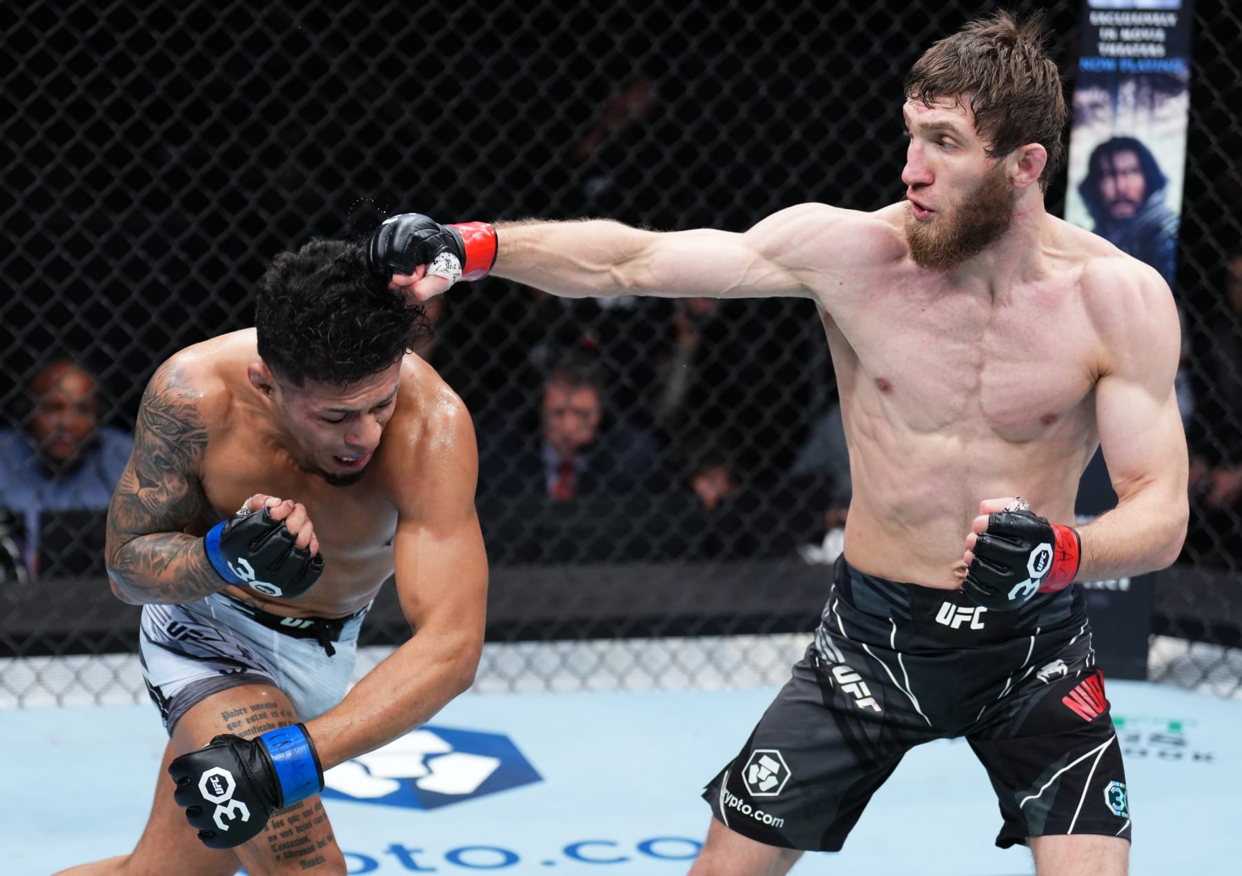 Said Nurmagomedov