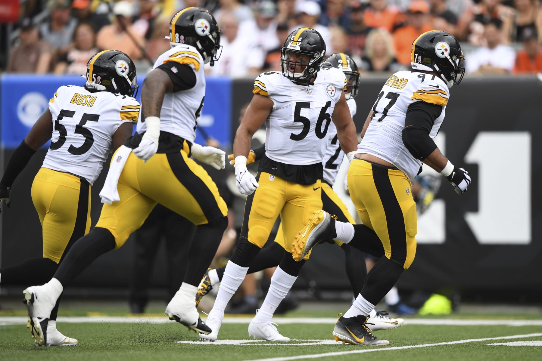 Pittsburgh Steelers linebacker Alex Highsmith (56) celebrates with teammates after a turnover during a NFL football game against the Cincinnati Bengals, Sunday, Sept. 11, 2022, in Cincinnati. (AP Photo/Emilee Chinn)