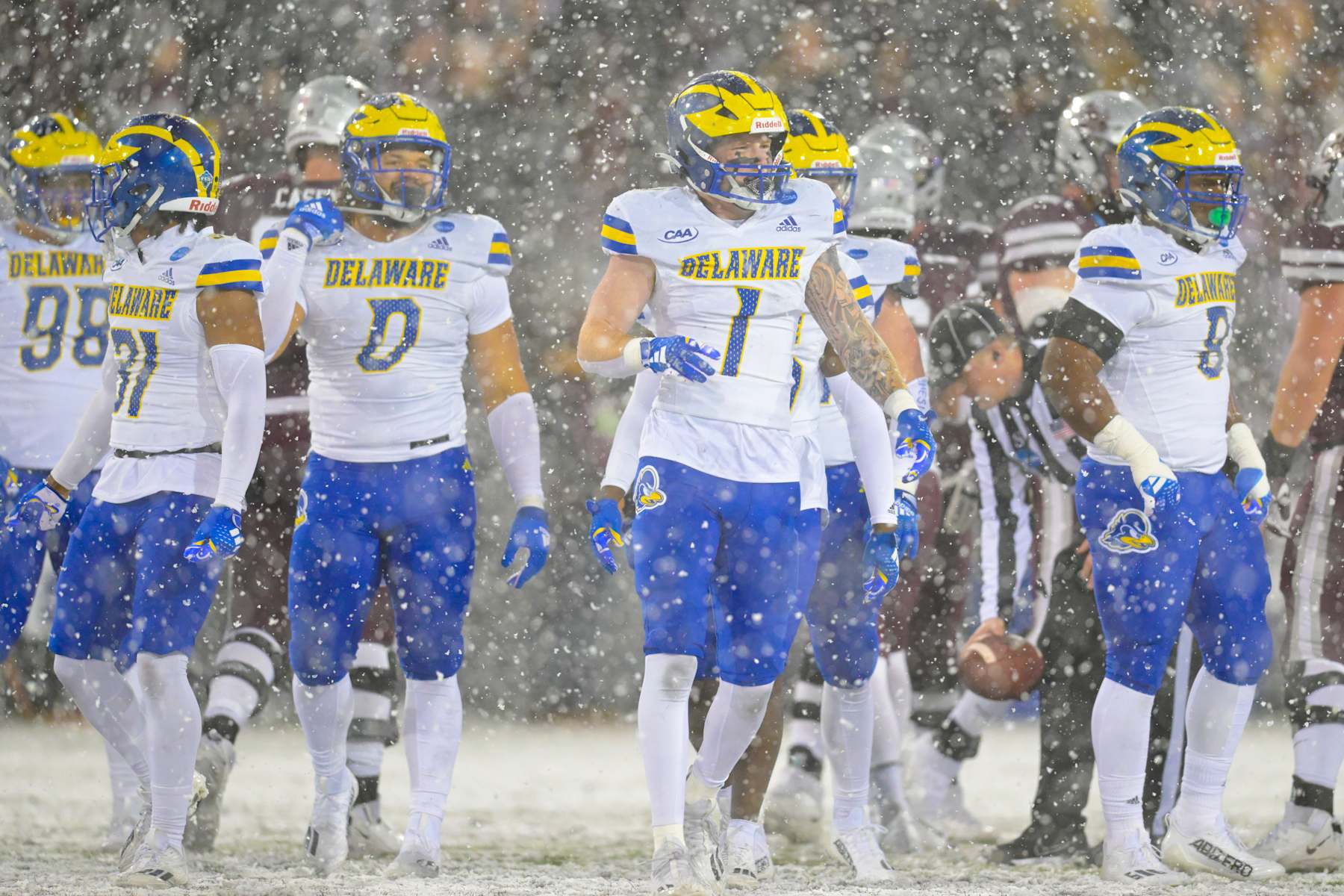 Delaware Fightin' Blue Hens defense looks on Delaware Fightin' Blue Hens defense looks on
