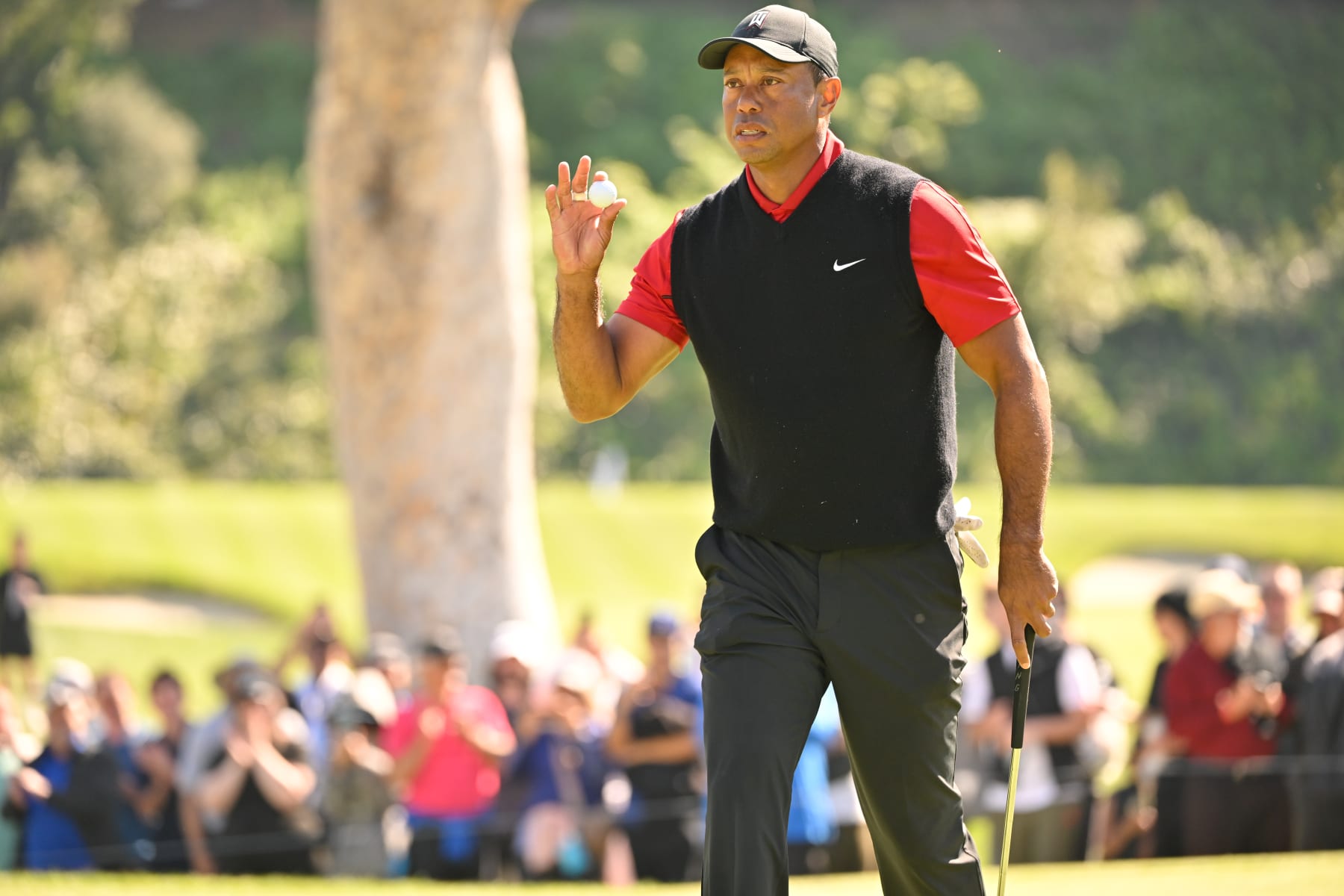 PACIFIC PALISADES, CALIFORNIA - FEBRUARY 19: Tiger Woods waves his ball on the 16th green during the final round of The Genesis Invitational at Riviera Country Club on February 19, 2023 in Pacific Palisades, California. (Photo by Ben Jared/PGA TOUR via Getty Images)