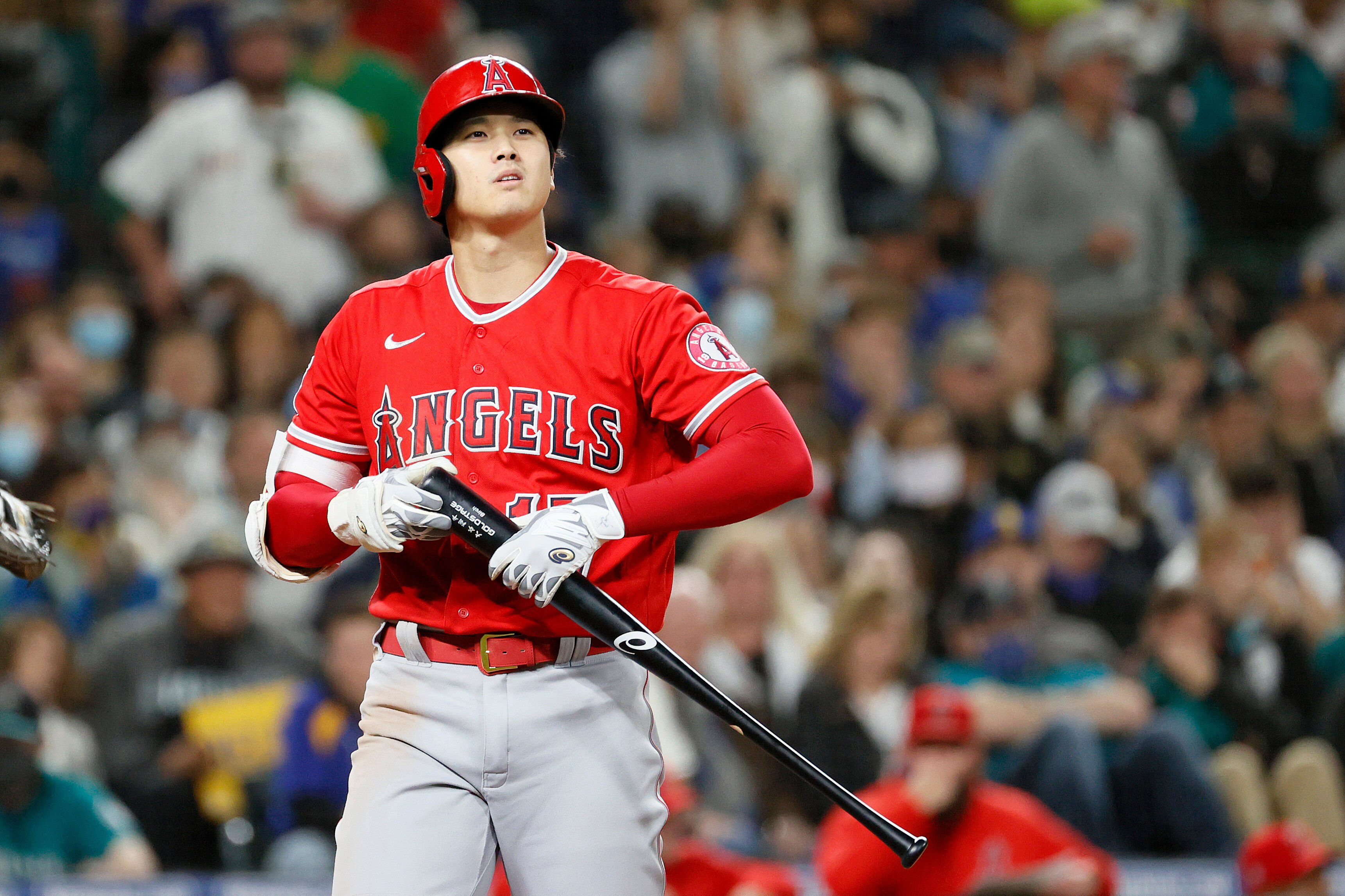 SEATTLE, WASHINGTON - OCTOBER 02: Shohei Ohtani #17 of the Los Angeles Angels looks on during the game against the Seattle Mariners at T-Mobile Park on October 02, 2021 in Seattle, Washington. (Photo by Steph Chambers/Getty Images)
