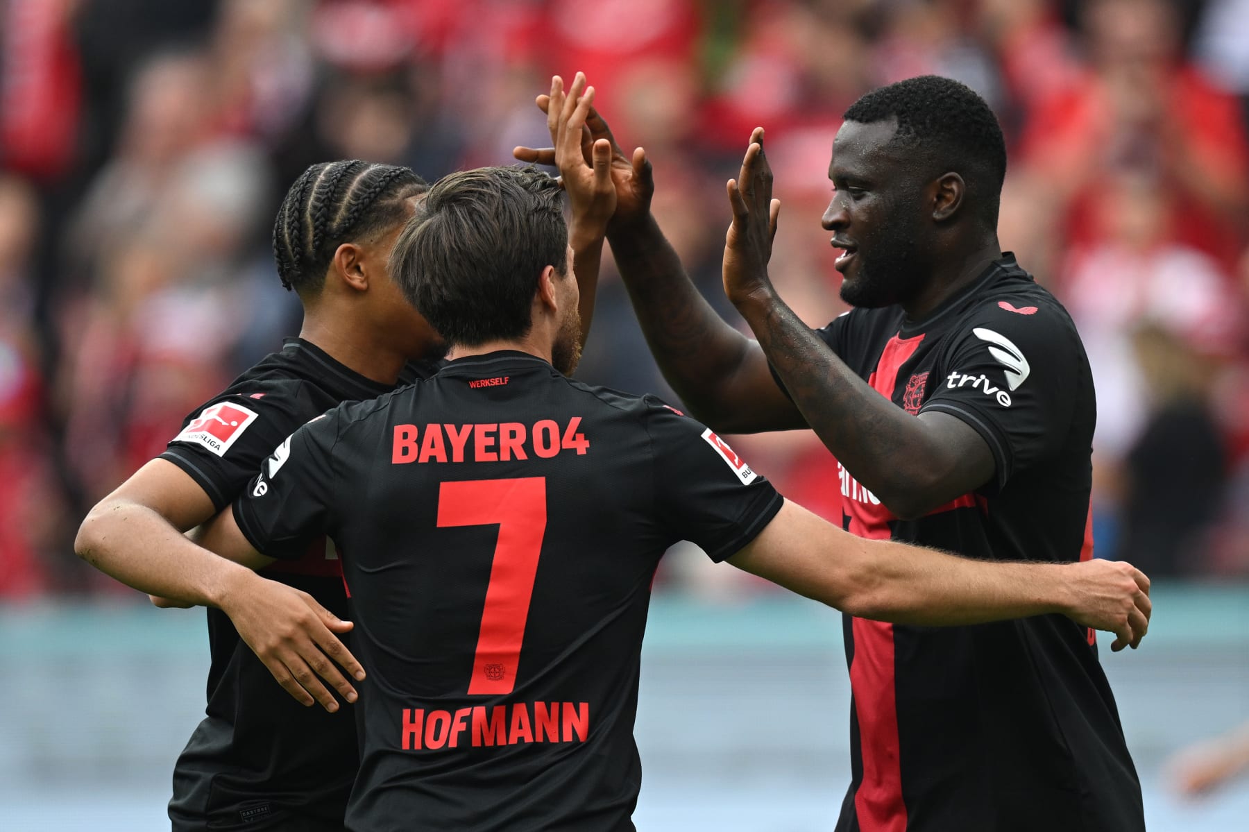 LEVERKUSEN, GERMANY - MAY 18: Victor Boniface of Bayer Leverkusen celebrates scoring his team's first goal with teammate Jonas Hofmann during the Bundesliga match between Bayer 04 Leverkusen and FC Augsburg at BayArena on May 18, 2024 in Leverkusen, Germany. (Photo by Stuart Franklin/Getty Images)