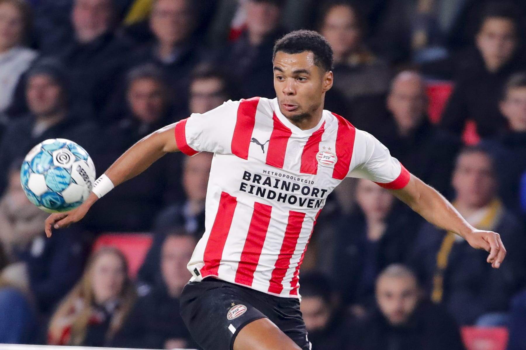 Cody Gakpo could be on the move in January.