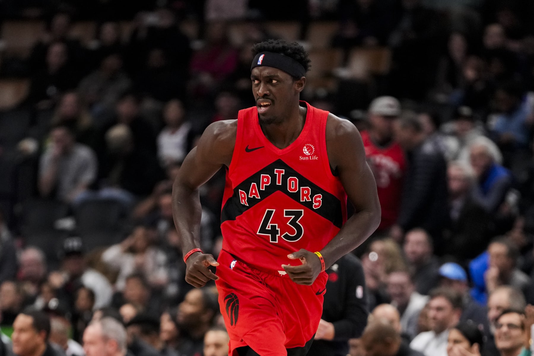 TORONTO, ON - NOVEMBER 29: Pascal Siakam #43 of the Toronto Raptors runs the court against the Phoenix Suns during NBA action at the Scotiabank Arena on November 29, 2023 in Toronto, Ontario, Canada. NOTE TO USER: User expressly acknowledges and agrees that, by downloading and/or using this Photograph, user is consenting to the terms and conditions of the Getty Images License Agreement. (Photo by Andrew Lahodynskyj/Getty Images)