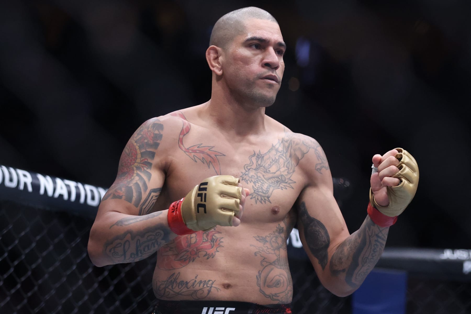 LAS VEGAS, NEVADA - JUNE 29: Alex Pereira of Brazil fights during a light heavyweight championship bout during UFC 303 at T-Mobile Arena on June 29, 2024 in Las Vegas, Nevada. (Photo by Ian Maule/Getty Images)