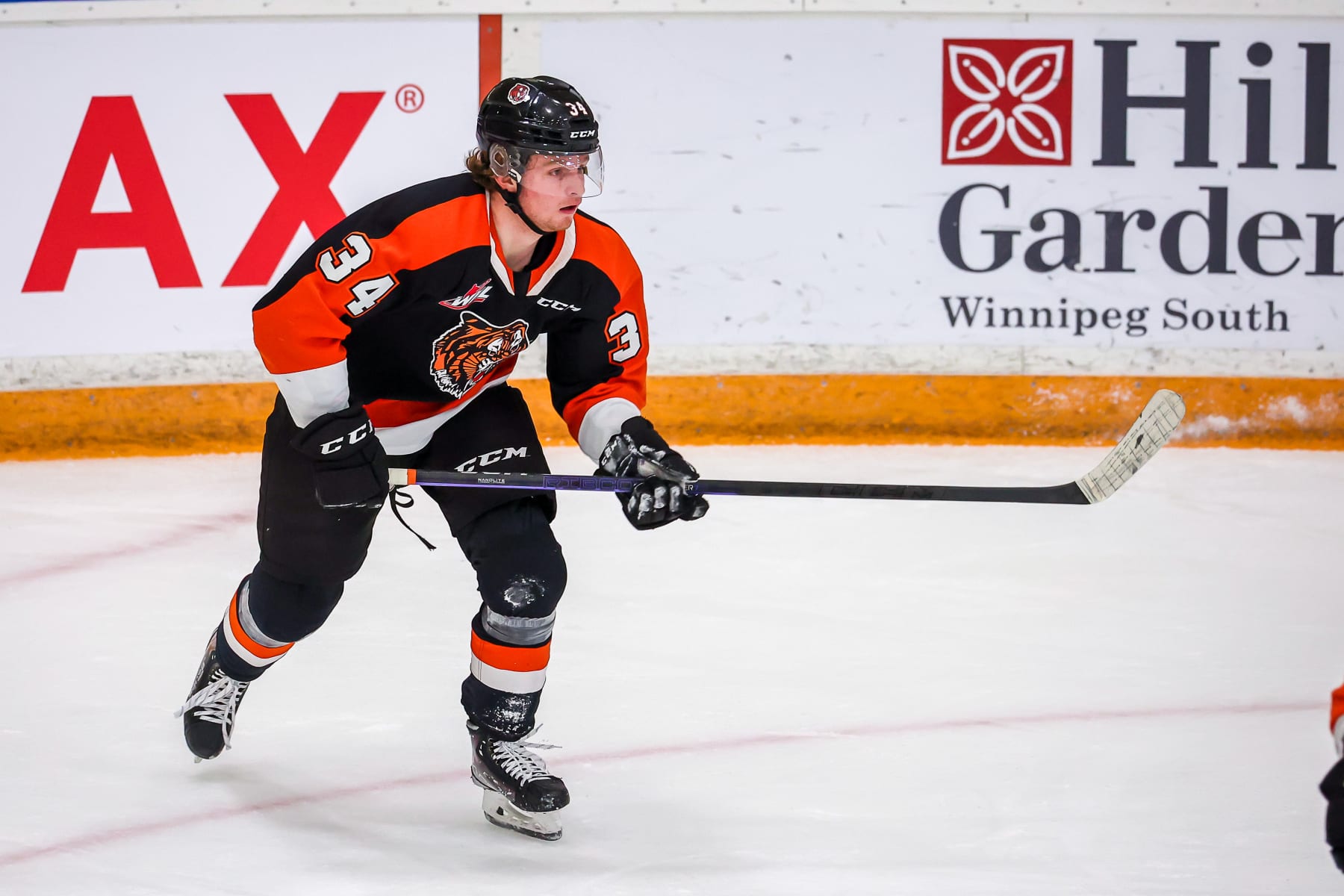 WINNIPEG, CANADA - JANUARY 14: Andrew Basha #34 of the Medicine Hat Tigers skates during second period action against the Winnipeg ICE at Wayne Fleming Arena on January 14, 2023 in Winnipeg, Manitoba, Canada. (Photo by Jonathan Kozub/Getty Images)