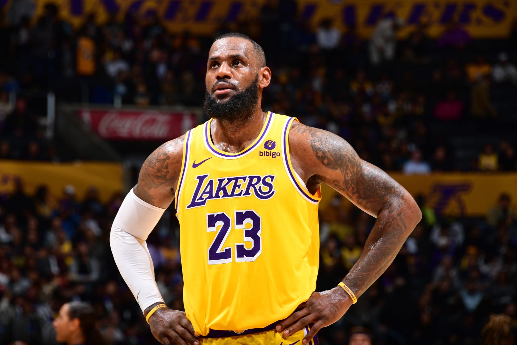 LOS ANGELES, CA - NOVEMBER 15: LeBron James #23 of the Los Angeles Lakers looks on during the game against the Sacramento Kings on November 15, 2023 at Crypto.Com Arena in Los Angeles, California. NOTE TO USER: User expressly acknowledges and agrees that, by downloading and/or using this Photograph, user is consenting to the terms and conditions of the Getty Images License Agreement. Mandatory Copyright Notice: Copyright 2023 NBAE (Photo by Adam Pantozzi/NBAE via Getty Images)