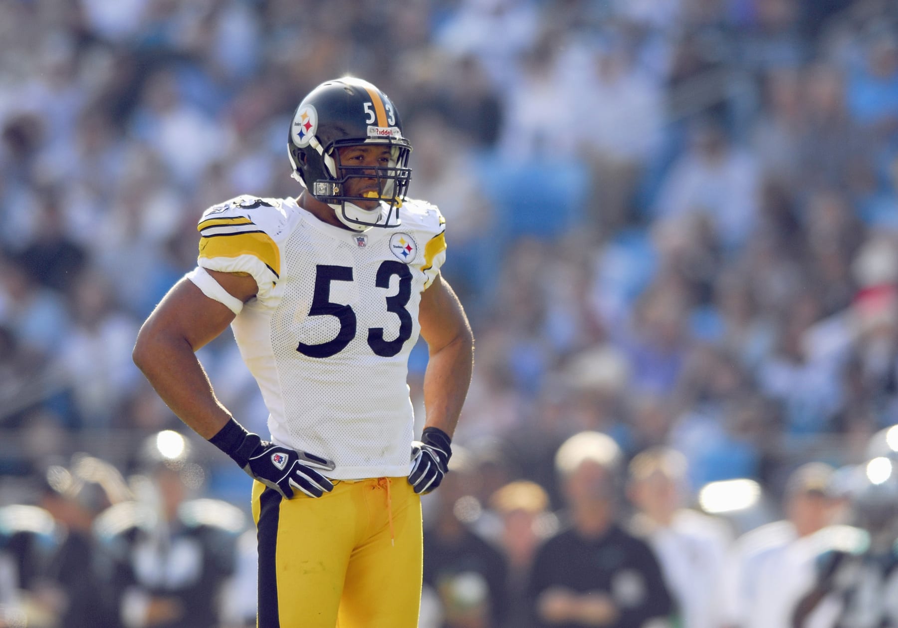 CHARLOTTE, NC - DECEMBER 17: Clark Haggans #53 of the Pittsburgh Steelers looks on during the game against the Carolina Panthers December 17, 2006 at Bank of America Stadium in Charlotte, North Carolina. Pittsburgh defeated Carolina 37-3. (Photo By Grant Halverson/Getty Images)