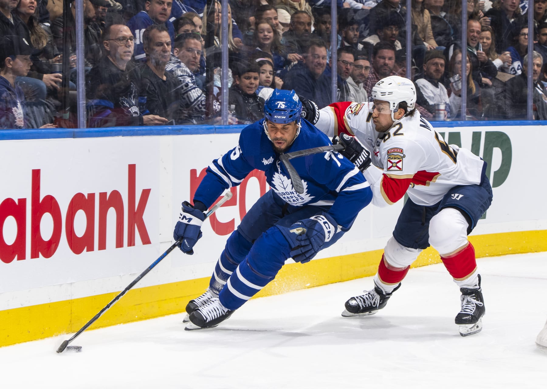 TORONTO, ON - APRIL 1: Ryan Reaves #75 of the Toronto Maple Leafs and Brandon Montour #62 of the Florida Panthers battle for the puck during the second period at Scotiabank Arena on April 1, 2024 in Toronto, Ontario, Canada. (Photo by Mark Blinch/NHLI via Getty Images)