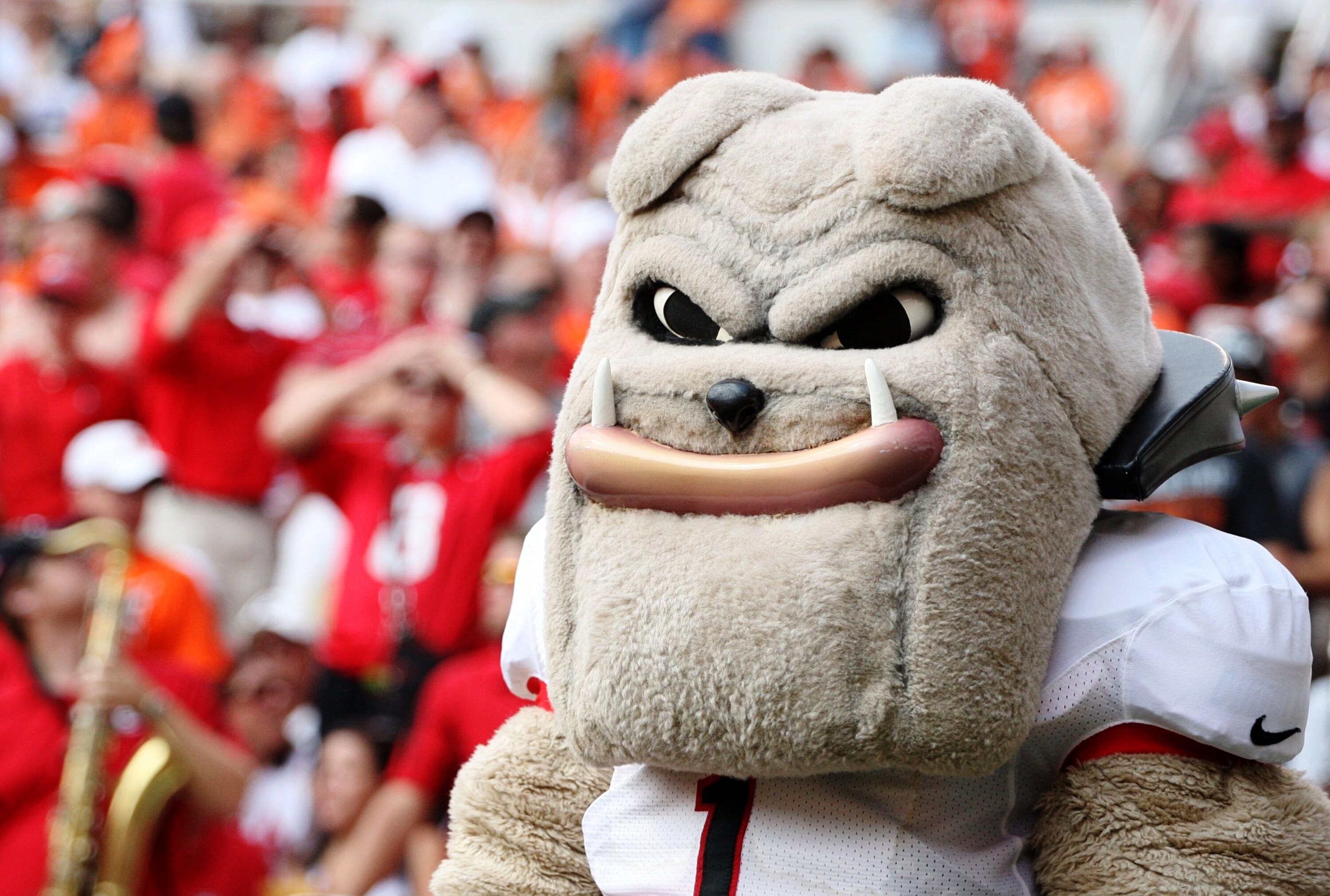 STILLWATER, OK - SEPTEMBER 5:  The Georgia Bulldogs mascot Hairy Dawg watches the game against the Oklahoma State Cowboys at Boone Pickens Stadium on September 5, 2009 in Stillwater, Oklahoma. (Photo by Christian Petersen/Getty Images)