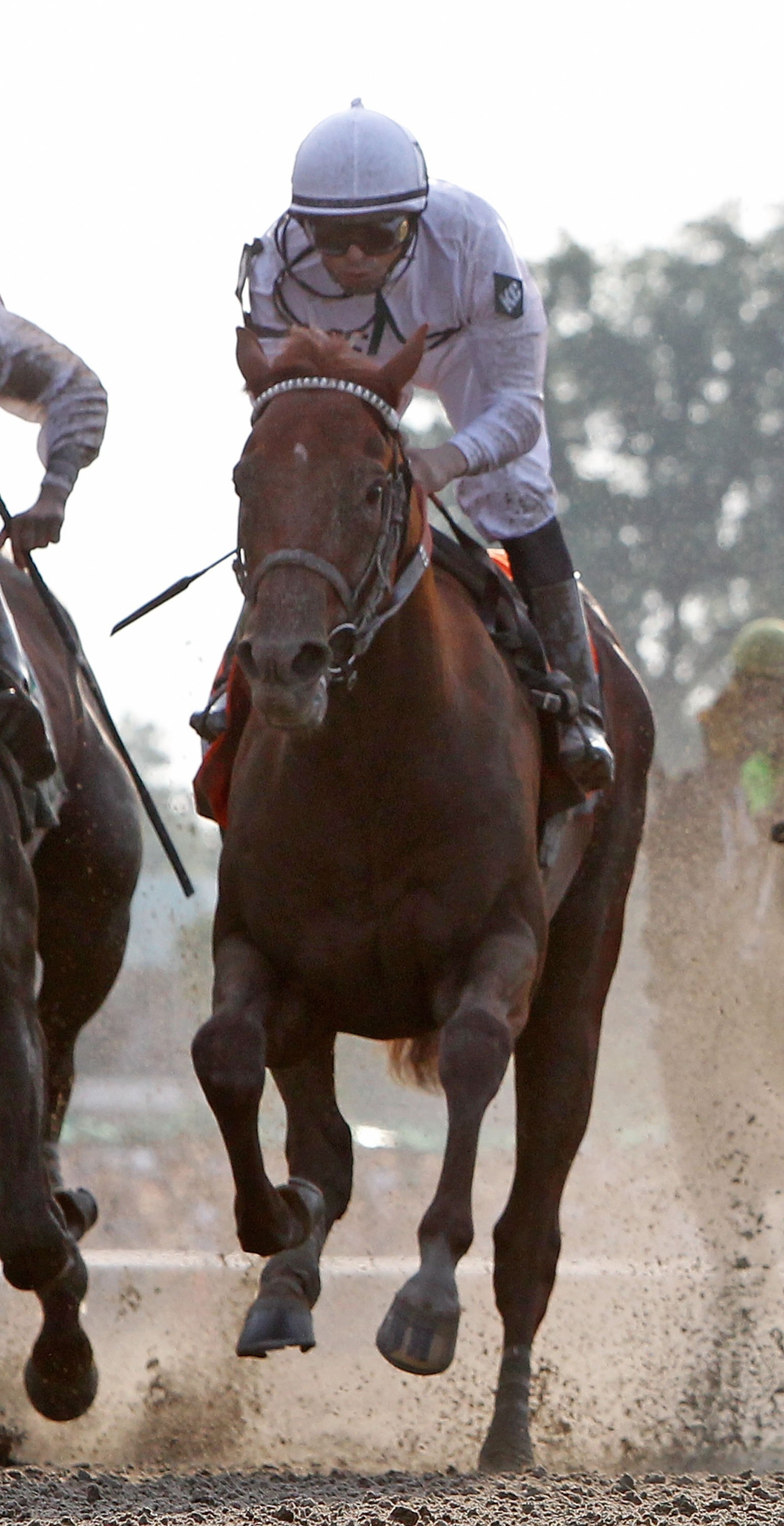 ELMONT, NY - JUNE 05:  Jockey Mike Smith rises in his saddle at the finish line as he rode Drosselmeyer to the win of the 142nd Belmont Stakes at Belmont Park on June 5, 2010 in Elmont, New York.  (Photo by Paul Bereswill/Getty Images)