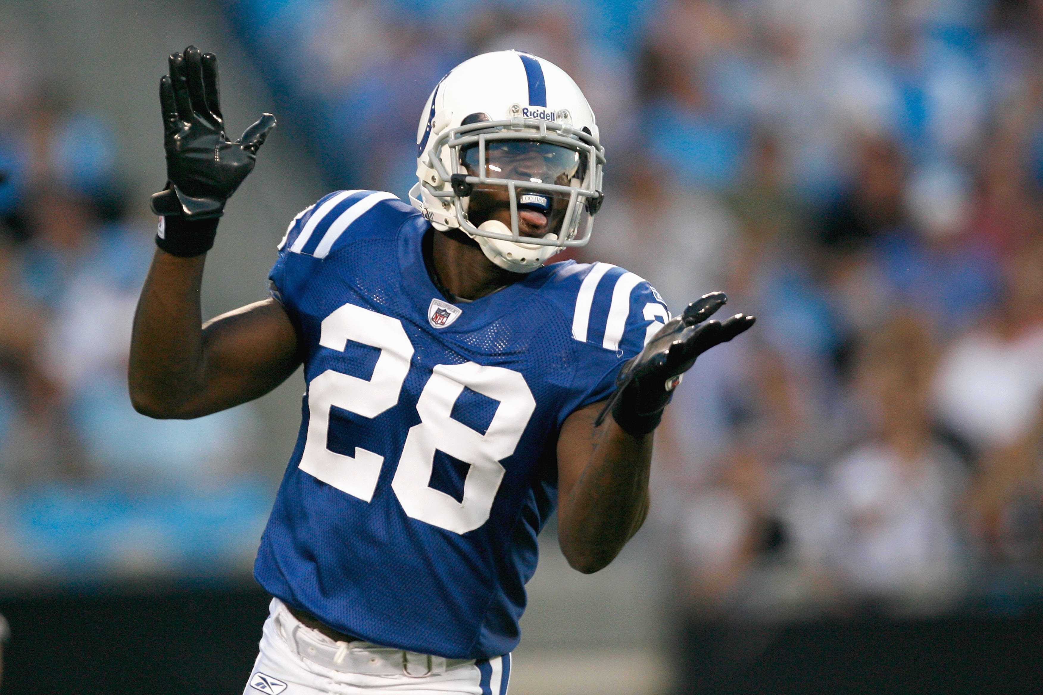 CHARLOTTE, NC - AUGUST 09: Marlin Jackson #28 of the Indianapolis Colts reacts on the field during the game against the Carolina Panthers at Bank of America Stadium on August, 9, 2008 in Charlotte, North Carolina.  (Photo by Kevin C. Cox/Getty Images)