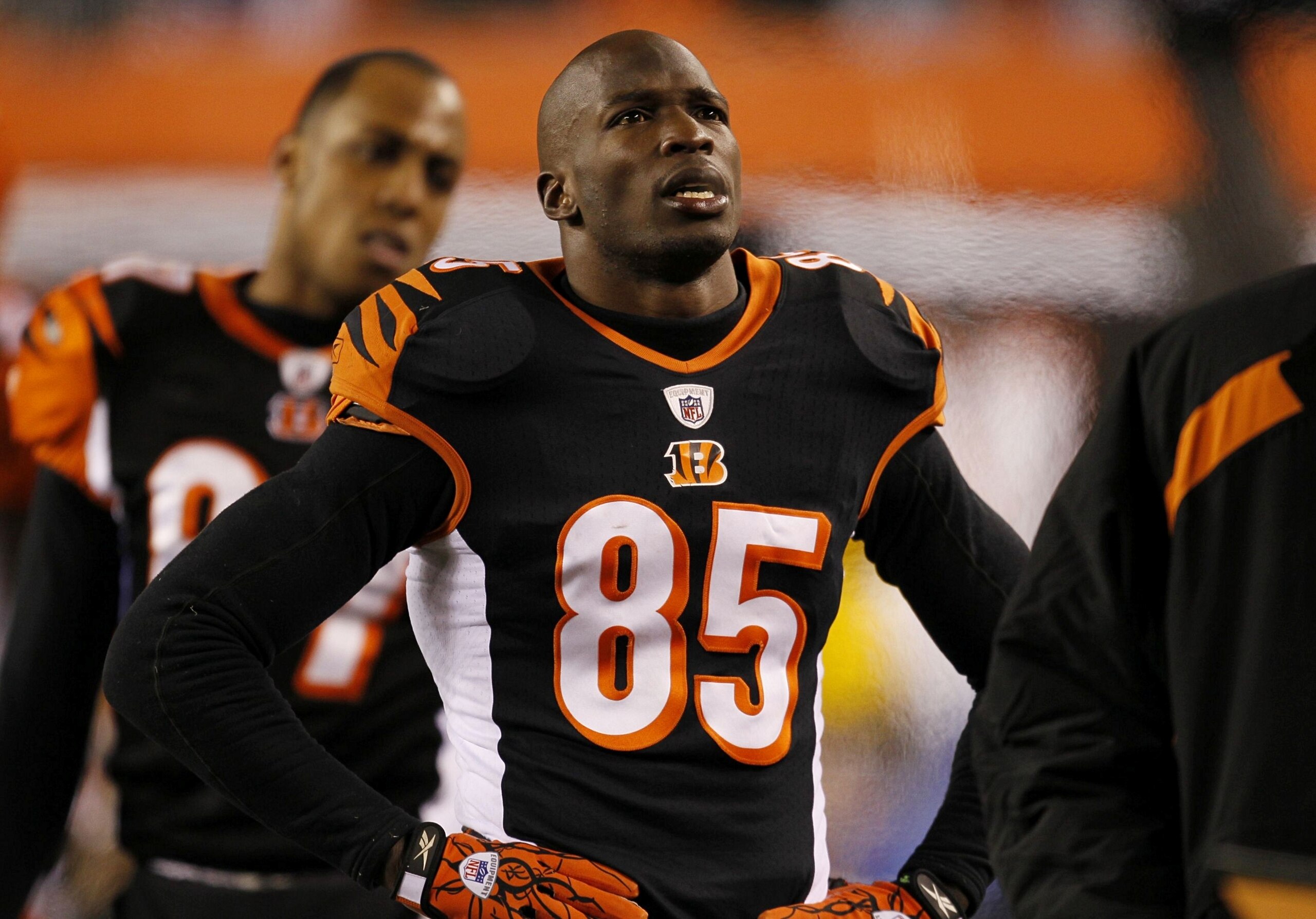 CINCINNATI - JANUARY 9:  Wide receiver Chad Ochocinco #85 of the Cincinnati Bengals looks on from the sideline late in the fourth quarter against the New York Jets during the 2010 AFC wild-card playoff game at Paul Brown Stadium on January 9, 2010 in Cinc