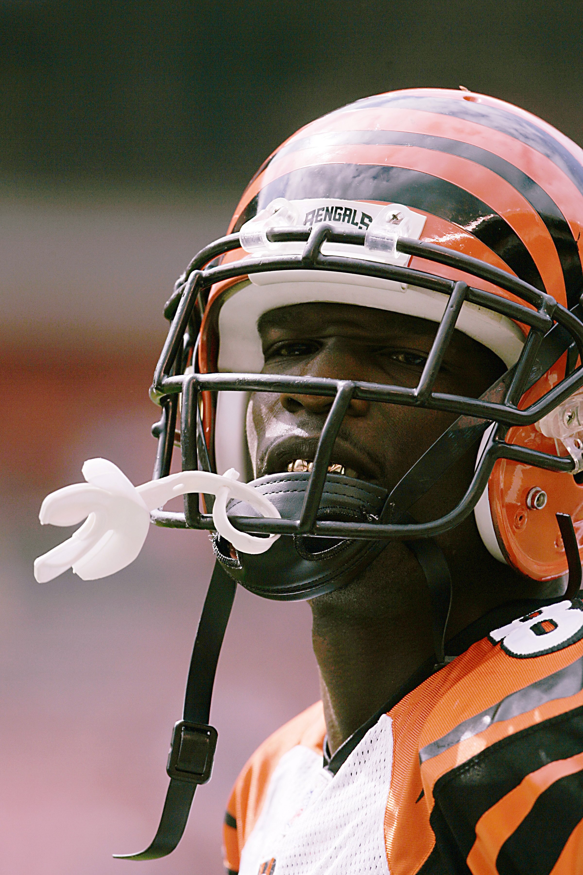 CLEVELAND - SEPTEMBER 16:  Chad Johnson #85 of the Cincinnati Bengals looks on during the NFL game against the Cleveland Browns at the Cleveland Browns Stadium on September 16, 2007 in Cleveland, Ohio. (Photo by Jeff Gross/Getty Images)