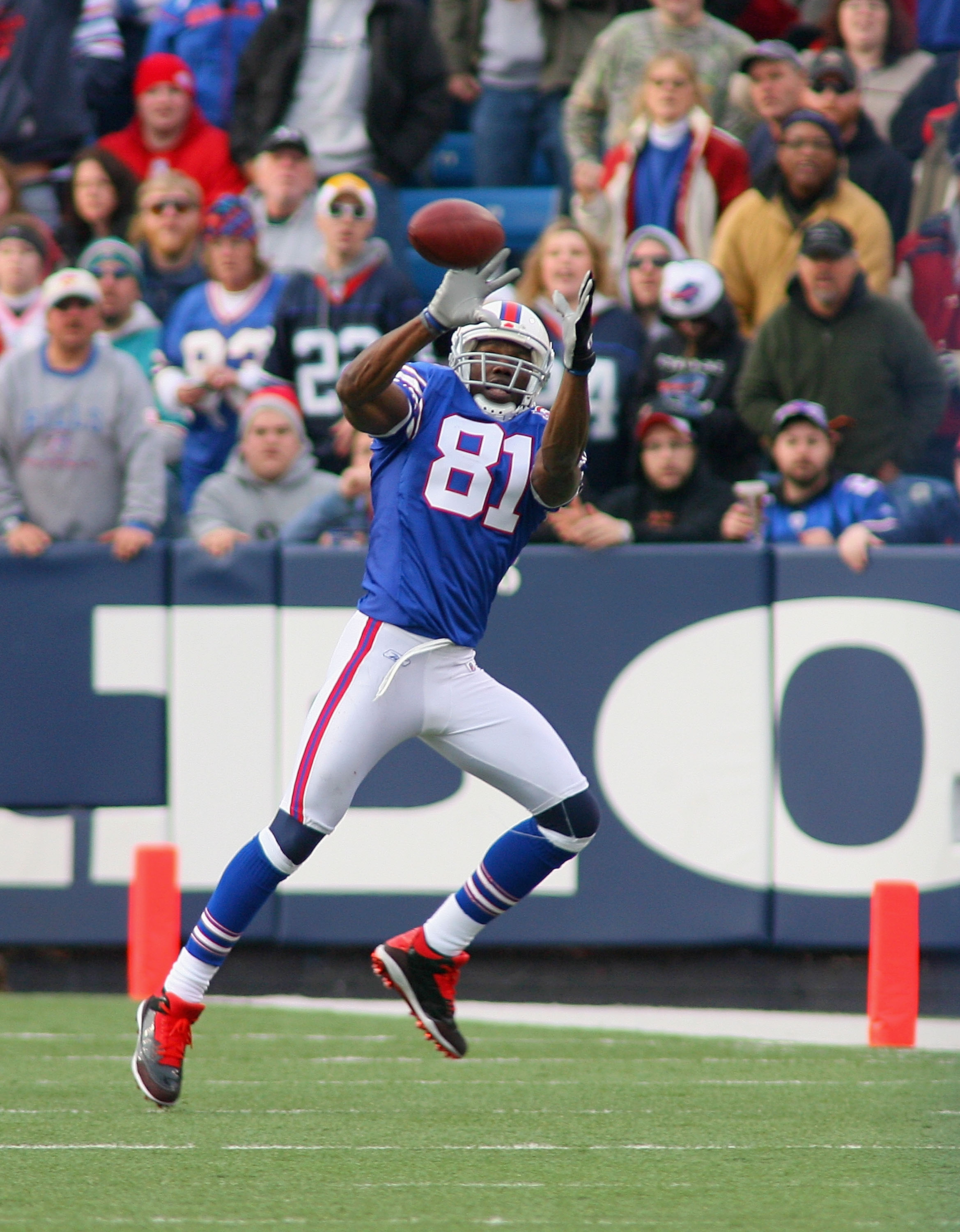 ORCHARD PARK, NY - NOVEMBER 29:  Terrell Owens #81 of the Buffalo Bills catches a pass against the Miami Dolphins at Ralph Wilson Stadium on November 29, 2009 in Orchard Park, New York. Buffalo won 31-14.  (Photo by Rick Stewart/Getty Images)