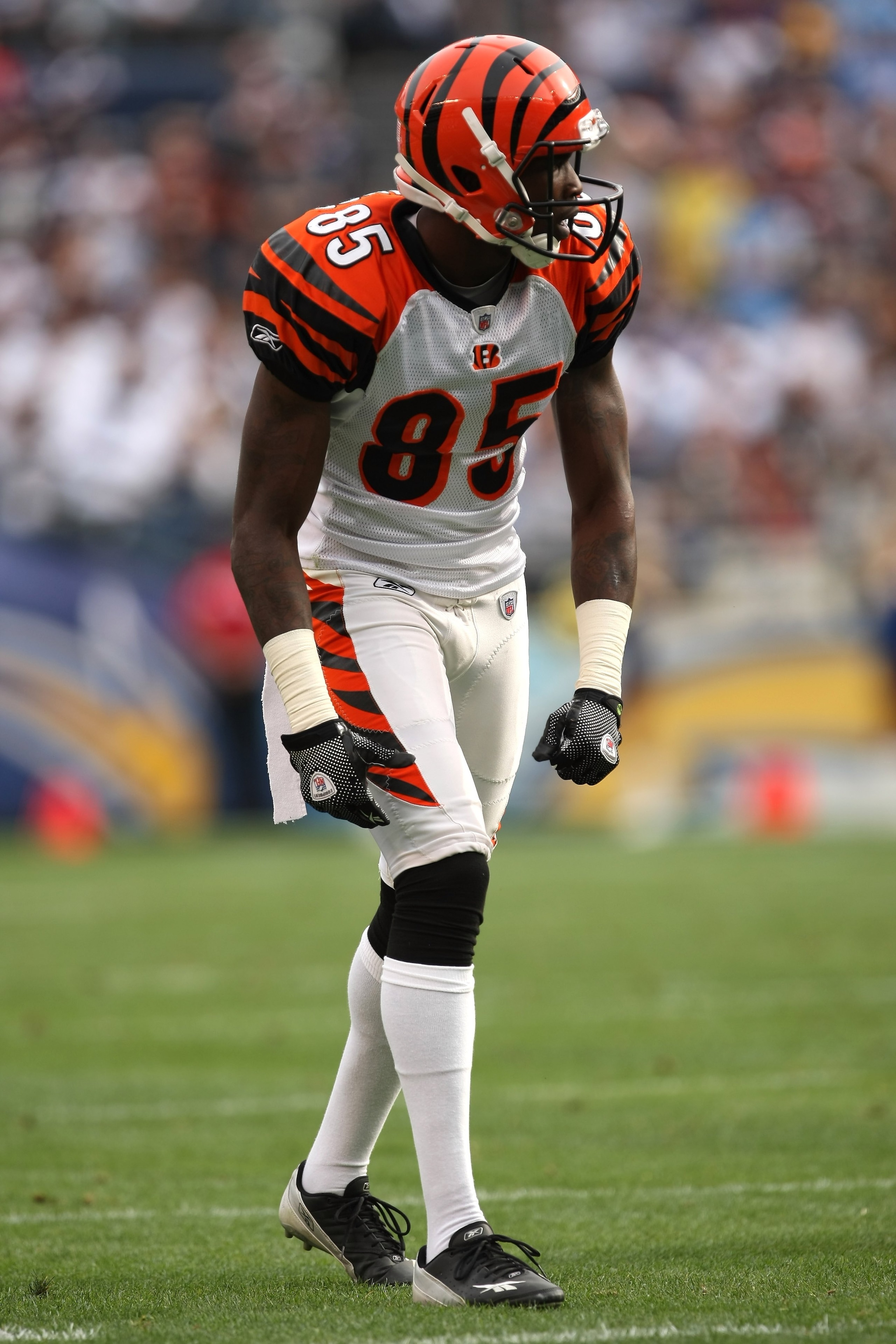 SAN DIEGO - DECEMBER 20:  Wide receiver Chad Ochocinco #85 of the Cincinnati Bengals on the line of scrimmage against the San Diego Chargers on December 20, 2009 at Qualcomm Stadium in San Diego, California.  The Chargers won 27-24.  (Photo by Stephen Dun