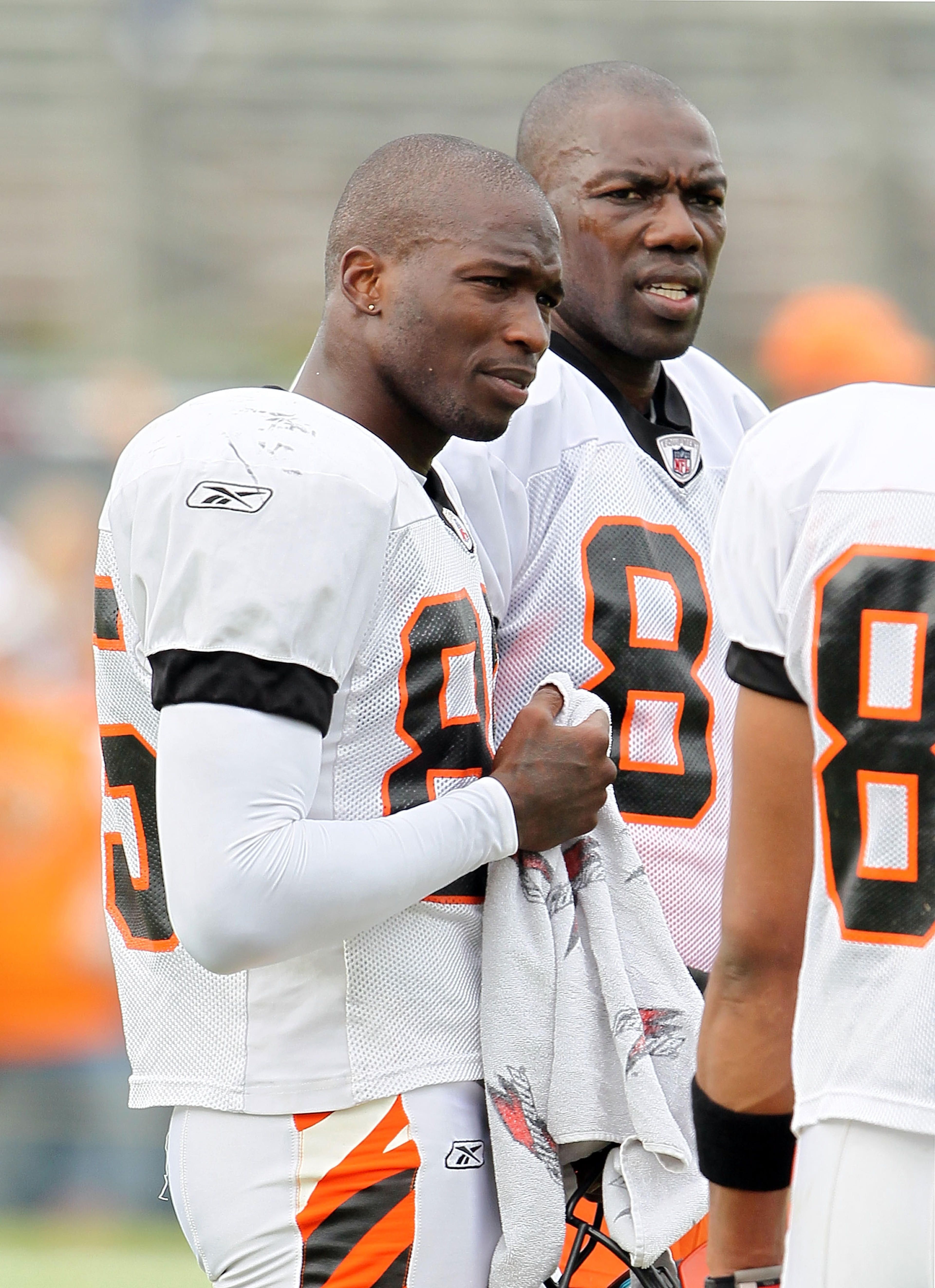 GEORGETOWN, KY - JULY 31: Chad Ochocinco (left) #85 and Terrell Owens (right) #81 of the Cincinnati Bengals are pictured during the Bengals training camp at Georgetown College on July 31, 2010 in Georgetown, Kentucky. (Photo by Andy Lyons/Getty Images) GEORGETOWN, KY - JULY 31: Chad Ochocinco (left) #85 and Terrell Owens (right) #81 of the Cincinnati Bengals are pictured during the Bengals training camp at Georgetown College on July 31, 2010 in Georgetown, Kentucky. (Photo by Andy Lyons/Getty Images)