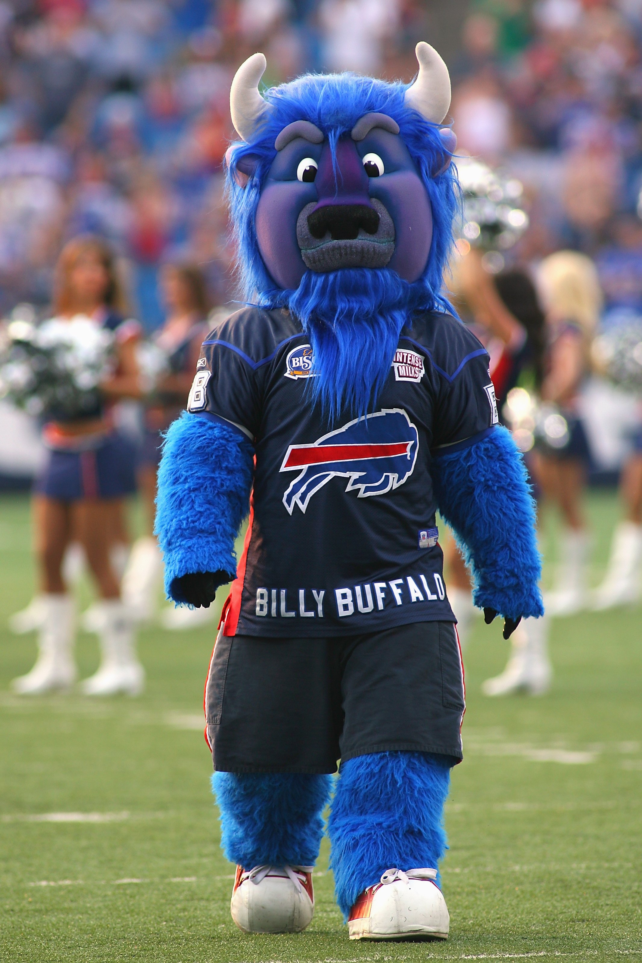 ORCHARD PARK, NY - AUGUST 15:  The Buffalo Bills mascot walks across the field before the preseason game against the Chicago Bears on August 15, 2009 at Ralph Wilson Stadium in Orchard Park, New York. The Bills won 27-20. (Photo by Rick Stewart/Getty Imag
