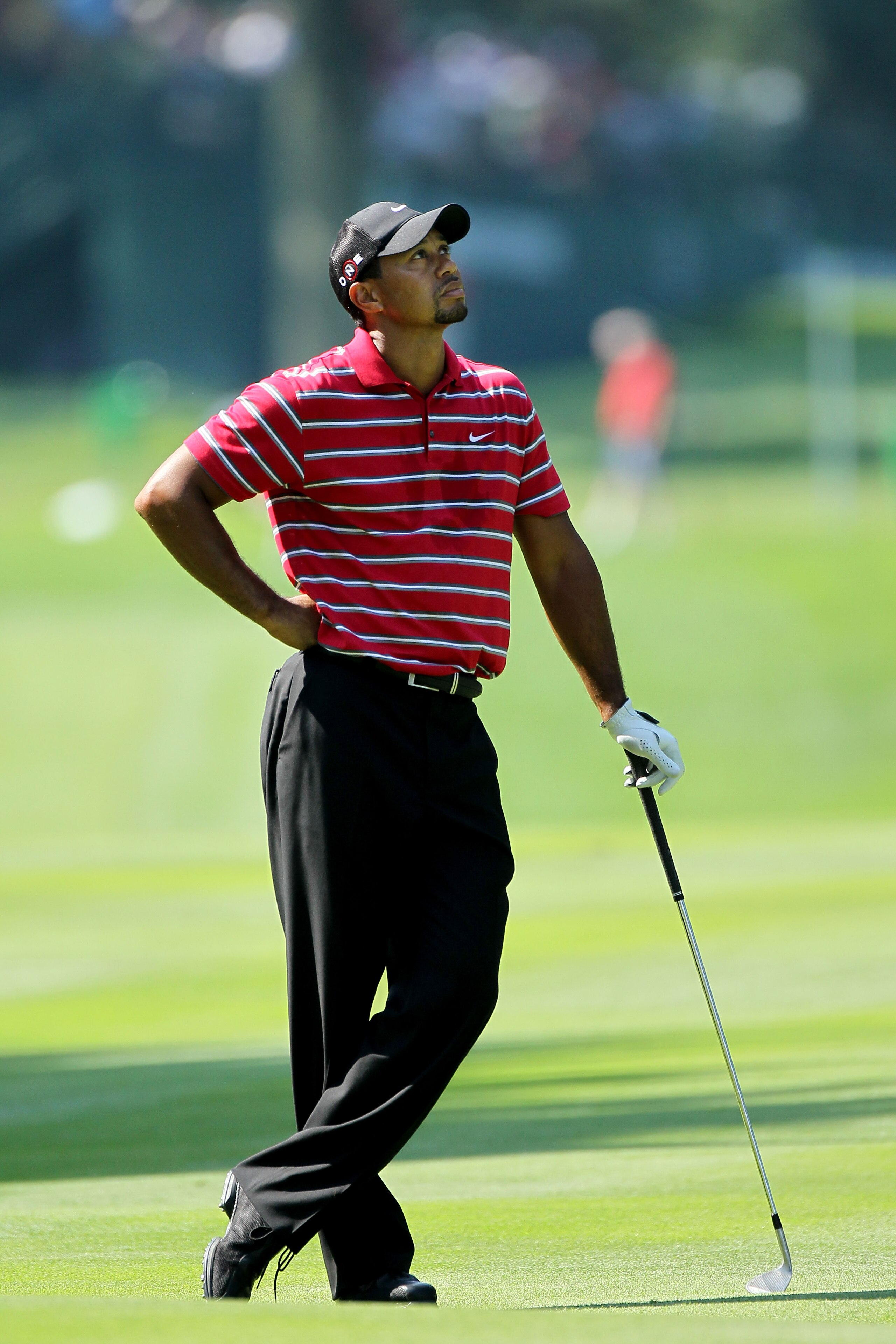 AKRON, OH - AUGUST 08:  Tiger Woods looks on from the fairway on the 18th hole during the final round of the World Golf Championships - Bridgestone Invitational on the South Course at Firestone Country Club on August 8, 2010 in Akron, Ohio.  (Photo by And