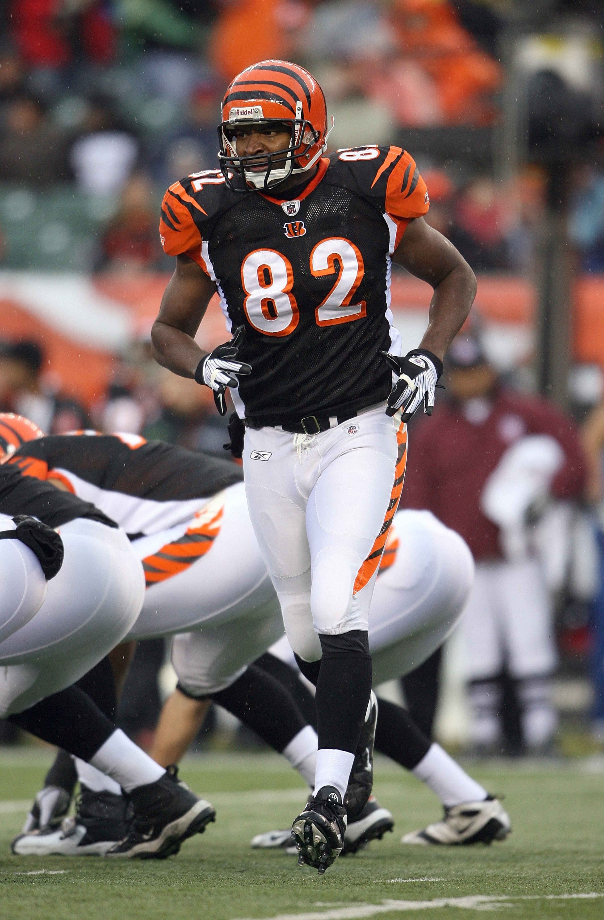 CINCINNATI - NOVEMBER 30:  Reggie Kelly #82 of the Cincinnati Bengals goes into motion prior to the snap of the ball during their NFL game against the Baltimore Ravens on November 30, 2008 at Paul Brown Stadium in Cincinnati, Ohio. The Ravens defeated the