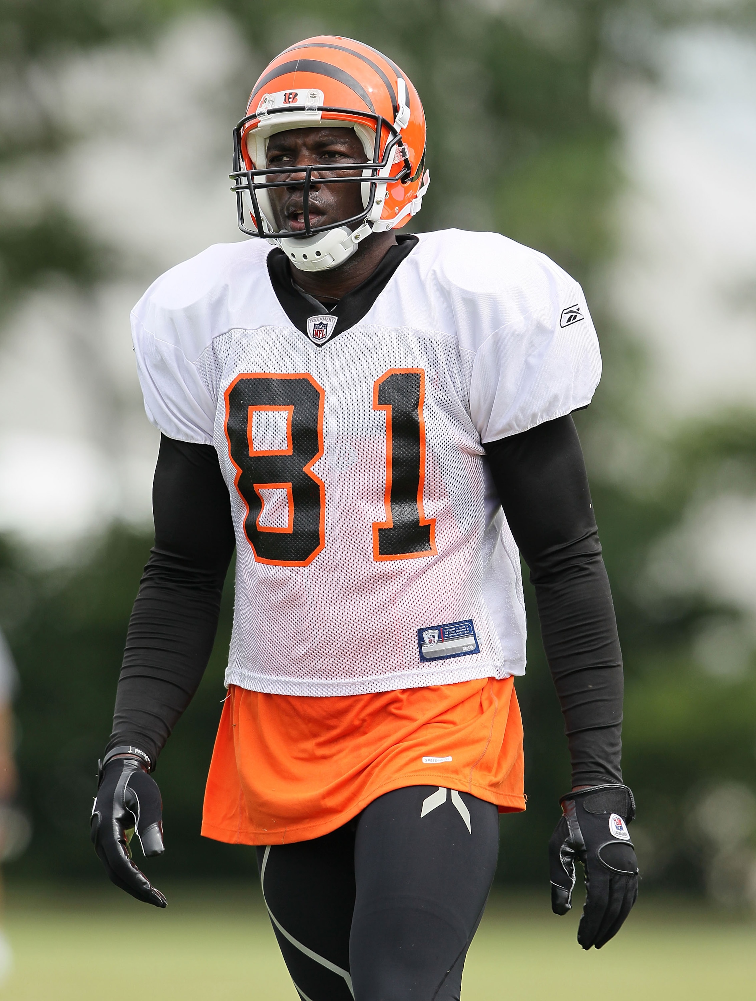 GEORGETOWN, KY - JULY 31: Terrell Owens #81 of the Cincinnati Bengals is pictured during the Bengals training camp at Georgetown College on July 31, 2010 in Georgetown, Kentucky. (Photo by Andy Lyons/Getty Images) GEORGETOWN, KY - JULY 31: Terrell Owens #81 of the Cincinnati Bengals is pictured during the Bengals training camp at Georgetown College on July 31, 2010 in Georgetown, Kentucky. (Photo by Andy Lyons/Getty Images)