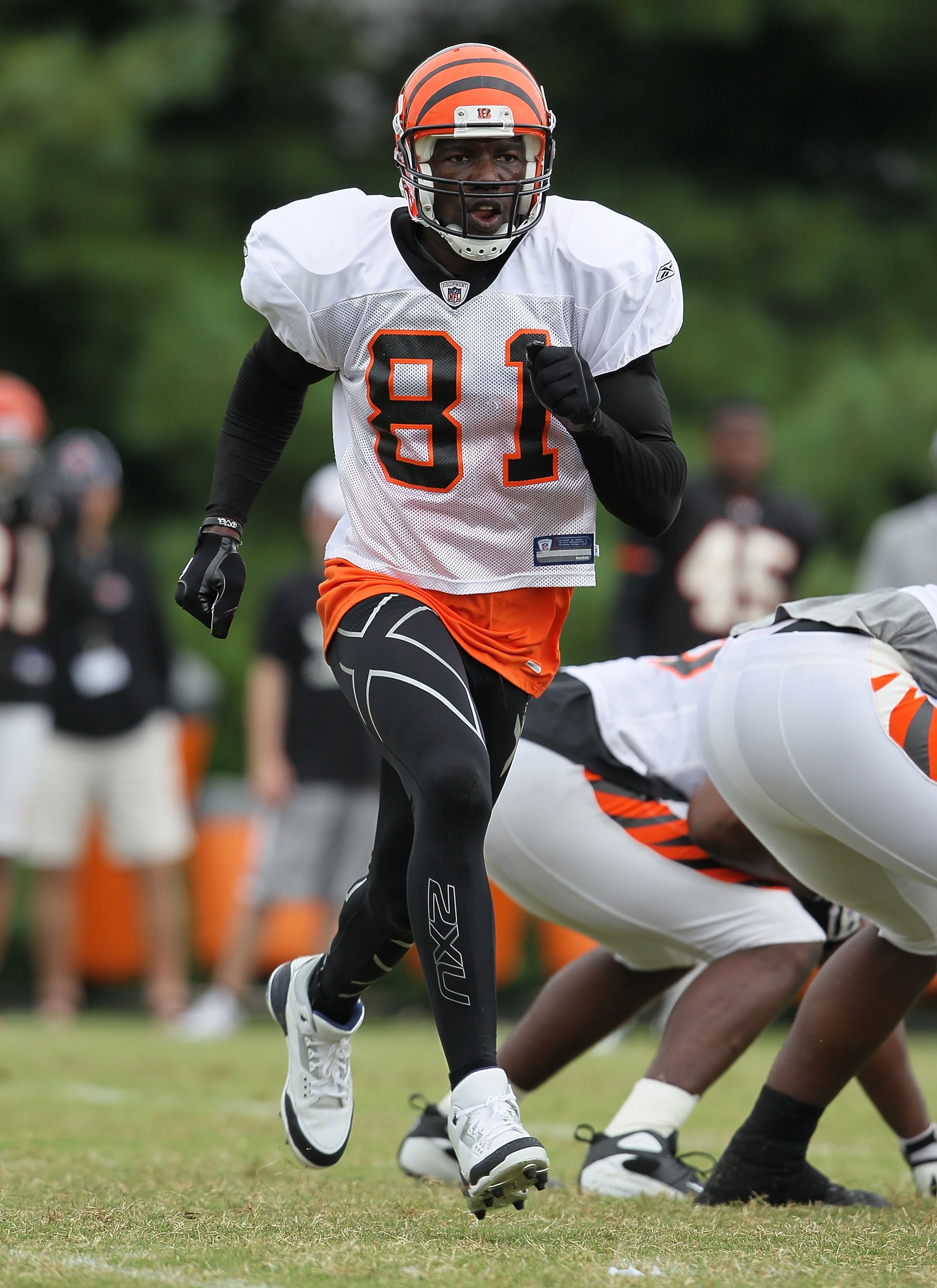GEORGETOWN, KY - JULY 31:  Terrell Owens #81 of the Cincinnati Bengals is pictured during the Bengals training camp at Georgetown College on July 31, 2010 in Georgetown, Kentucky.  (Photo by Andy Lyons/Getty Images)