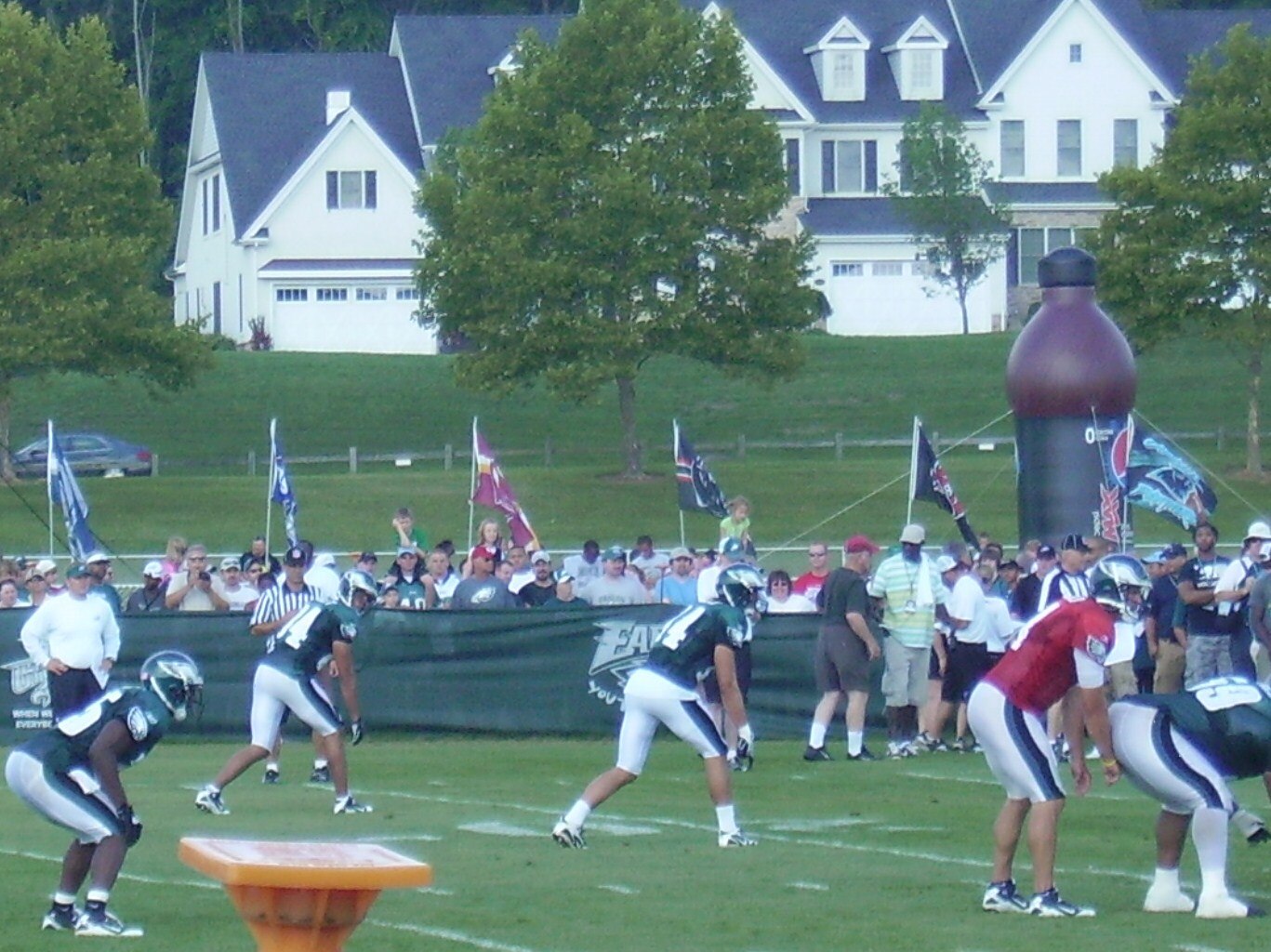 Dan Dubrow/Bleeding Eagle Green
