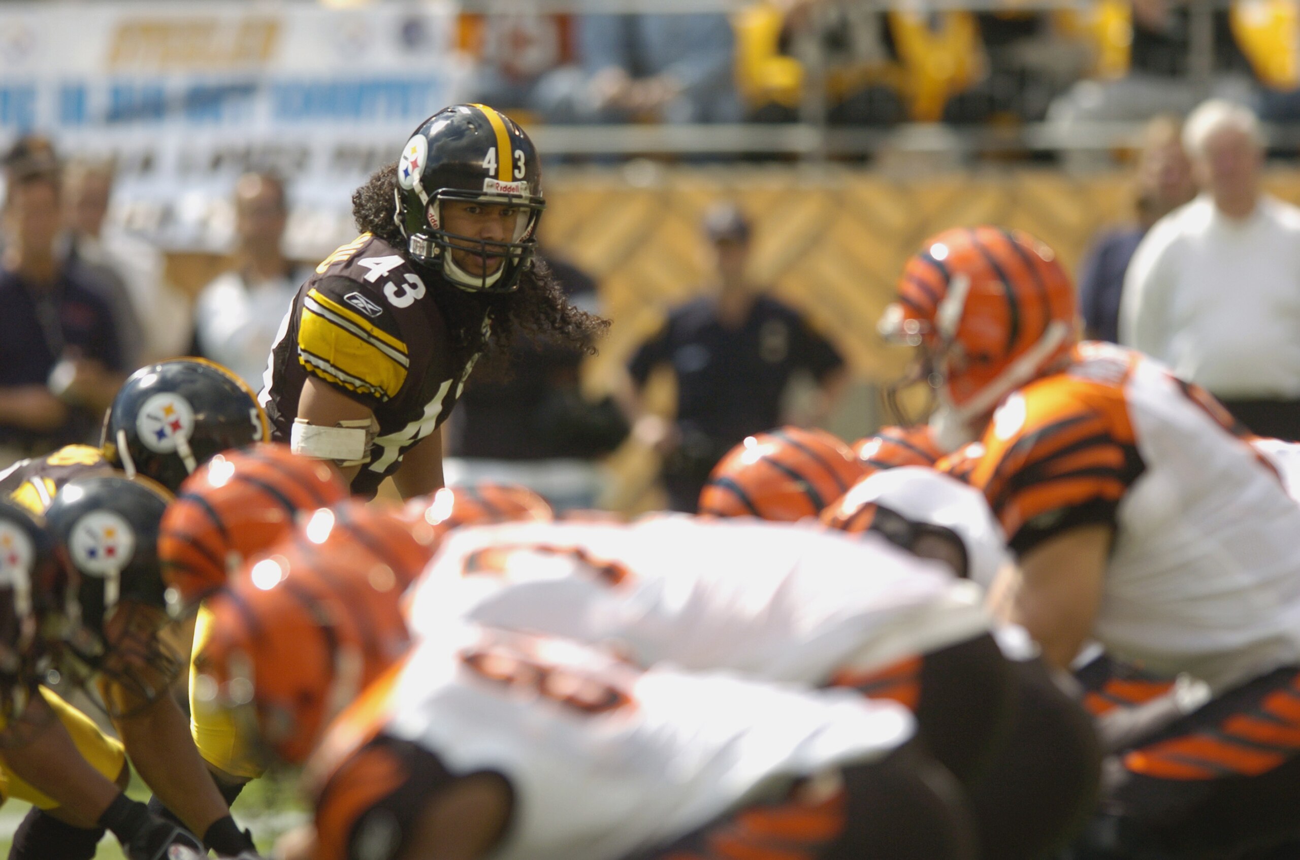PITTSBURGH, PA - SEPTEMBER 24:  Troy Polamalu #43 of the Pittsburgh Steelers gets set for play during the NFL game against the Cincinnati Bengals on September 24, 2006 at Heinz Field in Pittsburgh, Pennsylvania. The Bengals won the game 28-20.  (Photo by 