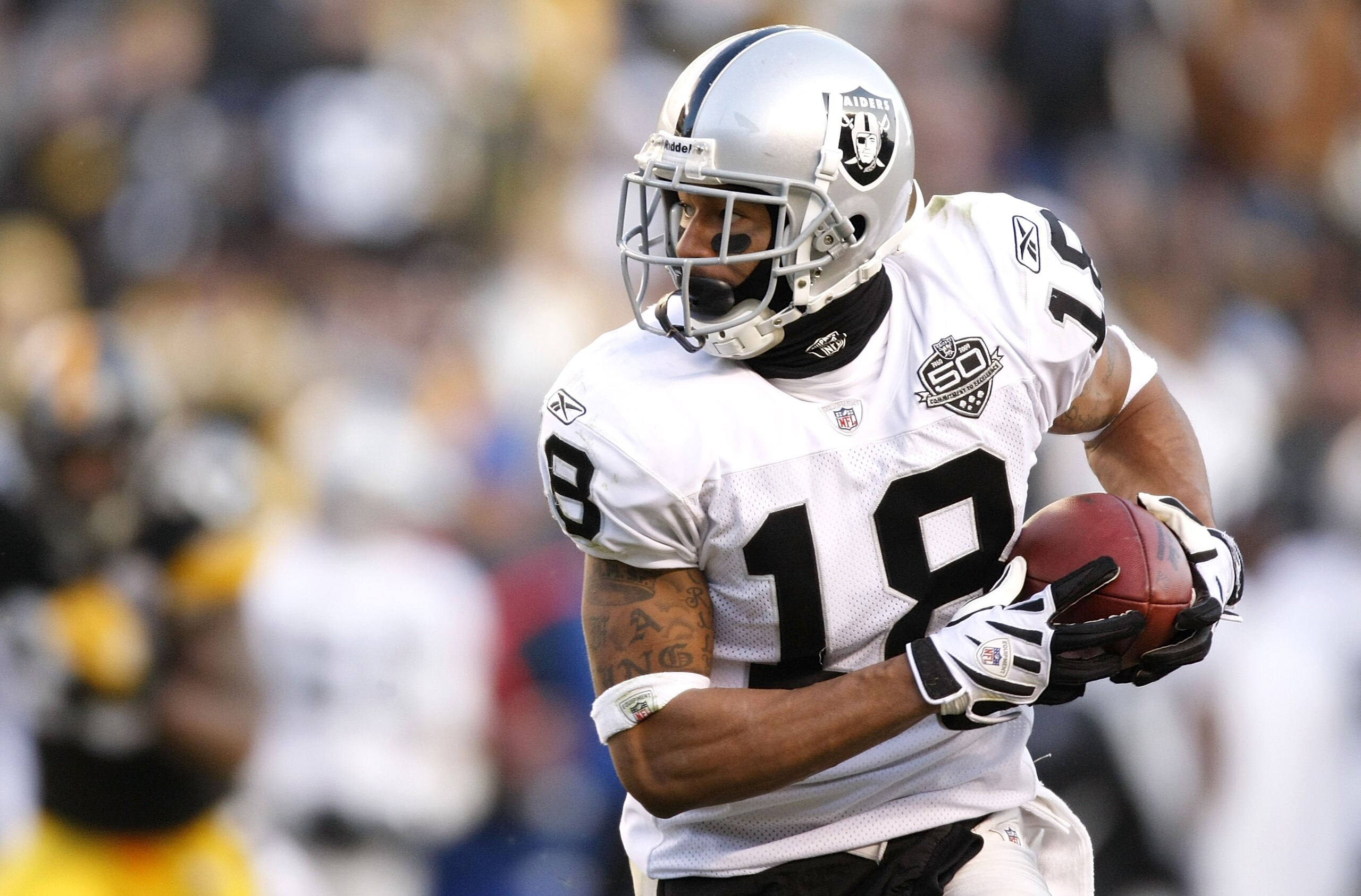 PITTSBURGH - DECEMBER 06:  Louis Murphy #18 of the Oakland Raiders runs for a third quarter touchdown while playing the Pittsburgh Steelers on December 6, 2009 at Heinz Field in Pittsburgh, Pennsylvania. Oakland won the game 27-24.  (Photo by Gregory Sham