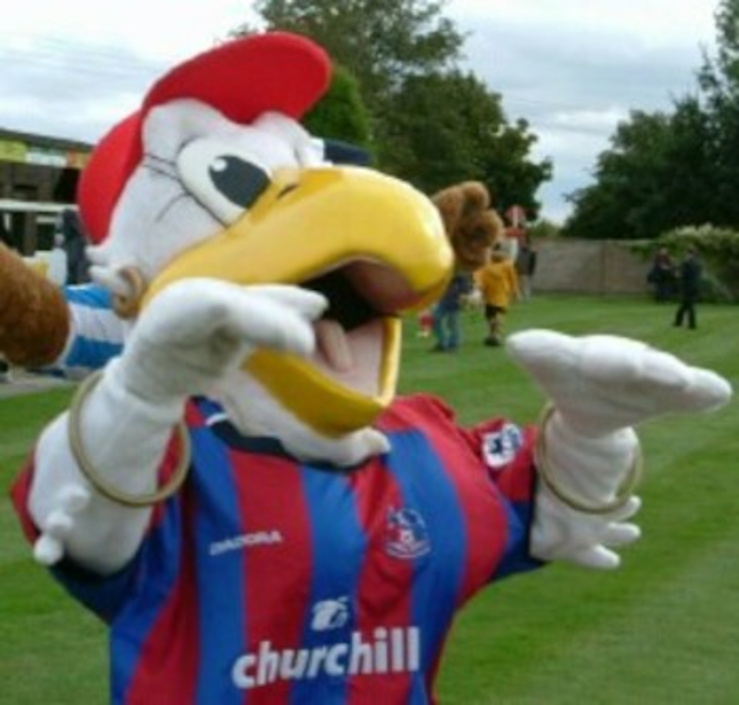 Alice the Eagle