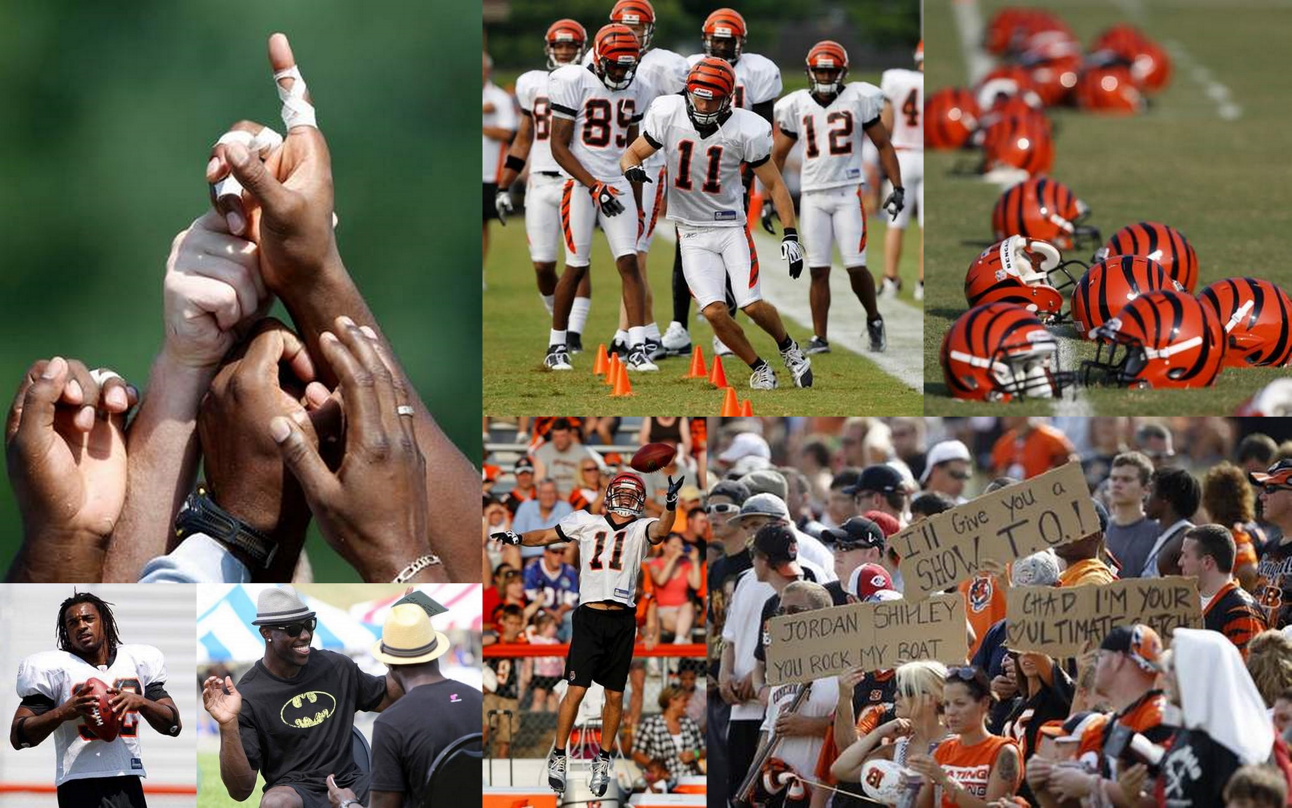 Bengals Training Camp
