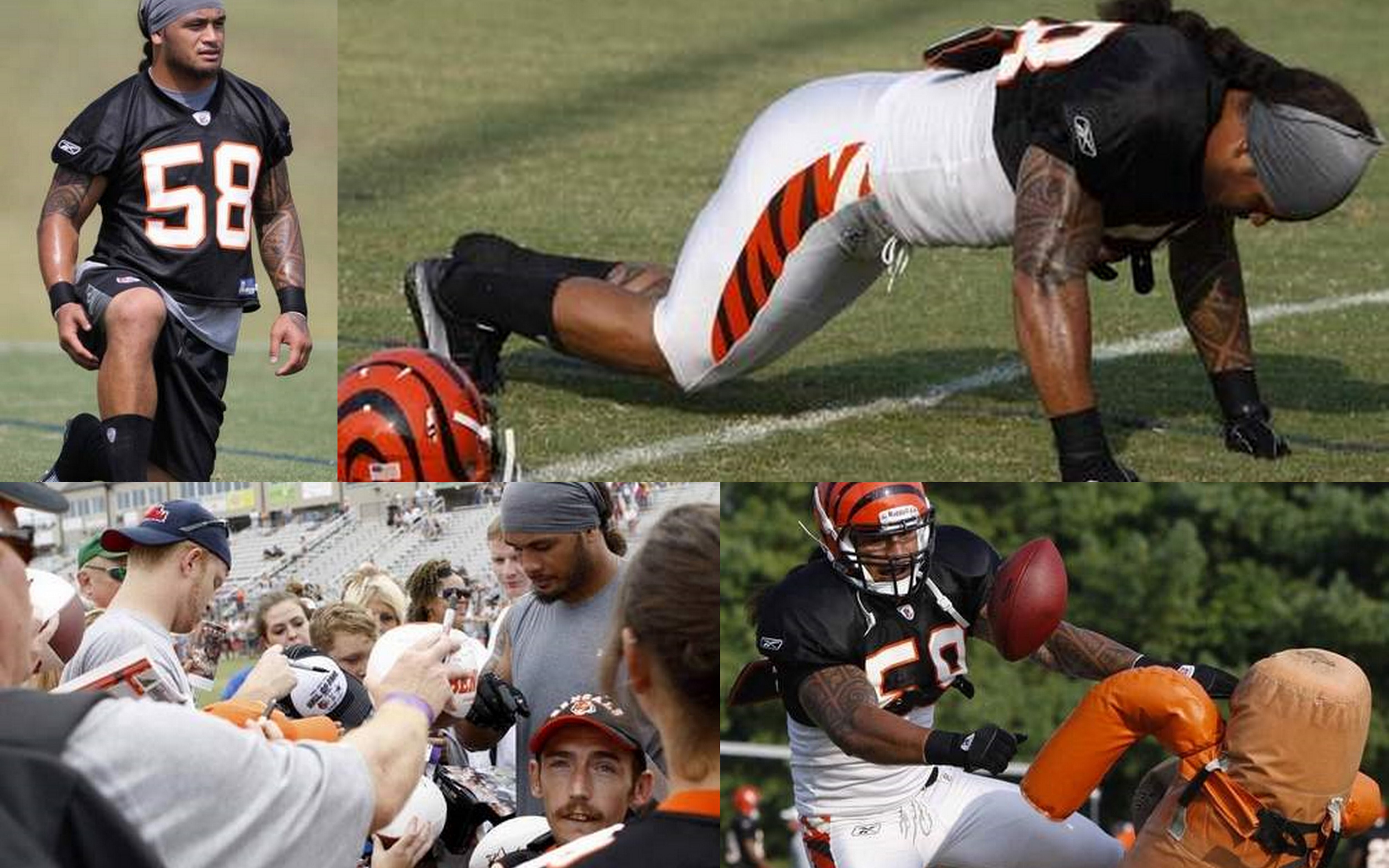 Rey Maualuga