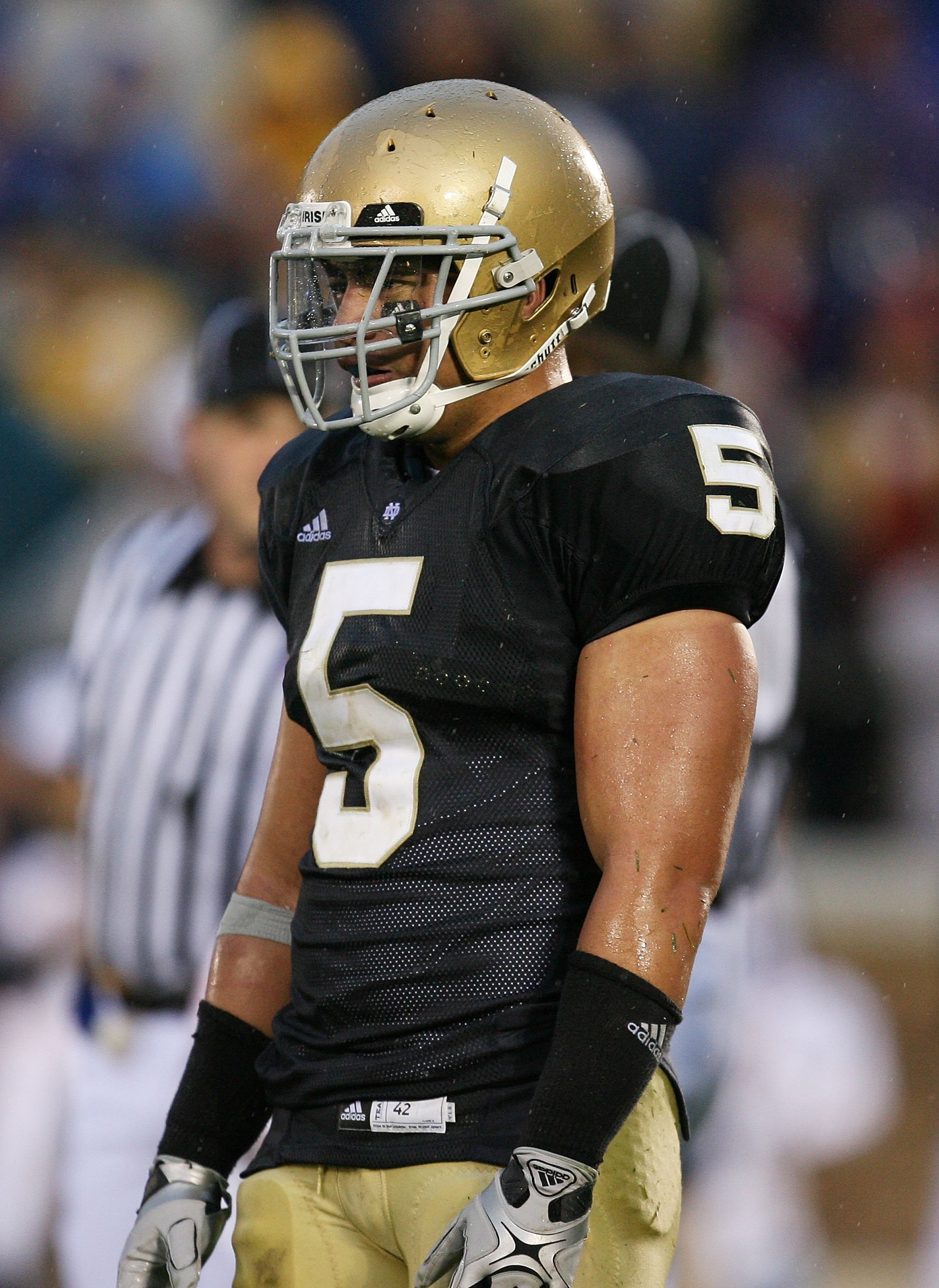 SOUTH BEND, IN - OCTOBER 03: Manti Te'o #5 of the Notre Dame Fighting Irish looks to the bench for a defensive signal against the Washington Huskies on October 3, 2009 at Notre Dame Stadium in South Bend, Indiana. Notre Dame defeated Washington 37-30 in o