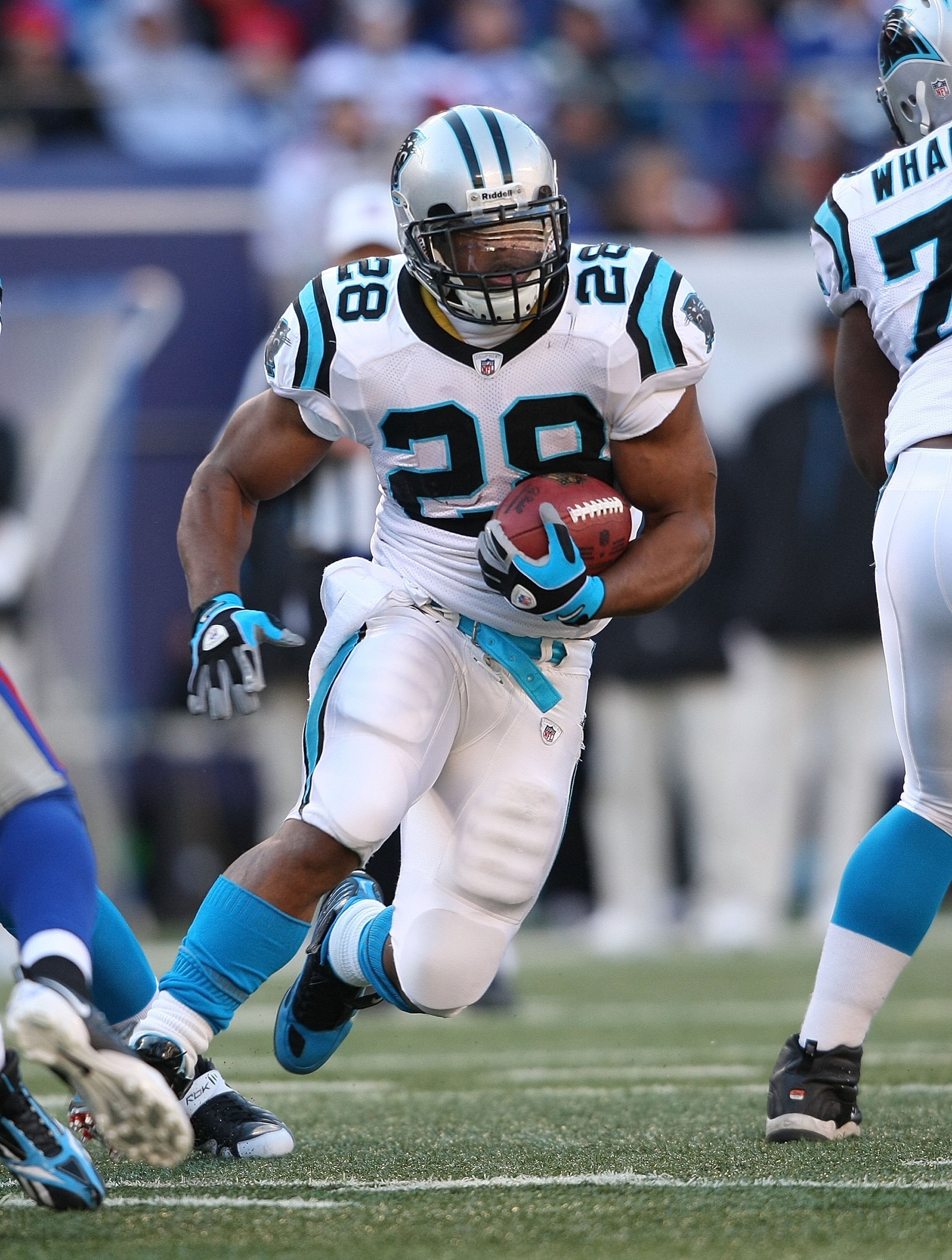 EAST RUTHERFORD, NJ - DECEMBER 27:  Jonathan Stewart #28 of the Carolina Panthers rushes against the New York Giants at Giants Stadium on December 27, 2009 in East Rutherford, New Jersey.  (Photo by Nick Laham/Getty Images)