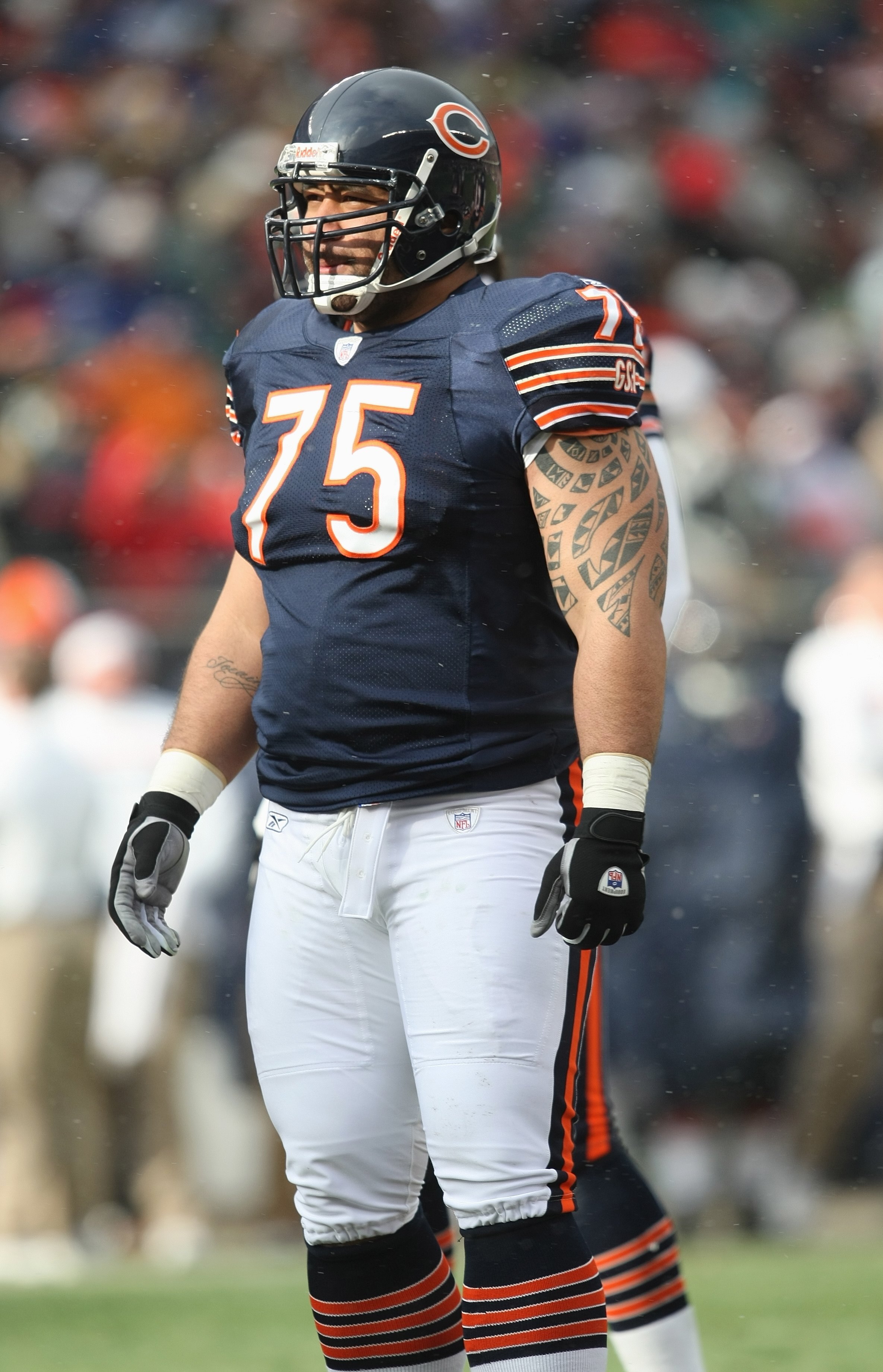 CHICAGO - DECEMBER 23: Matt Toeaina #75 of the Chicago Bears looks on during the game against the Green Bay Packers on December 23, 2007 at Soldier Field in Chicago, Illinois. (Photo by Jonathan Daniel/Getty Images)