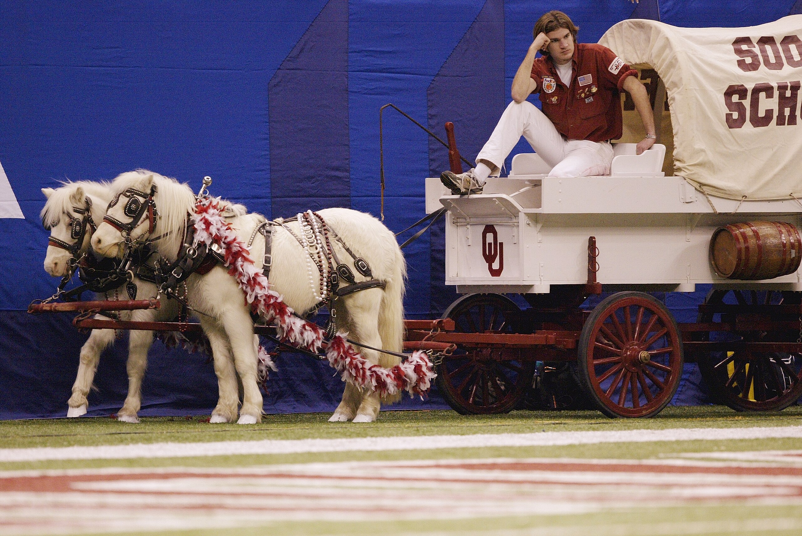 NEW ORLEANS - JANUARY 4: The Sooner Schooner, powered by matching white ponies named Boomer and Sooner, on the sideline during the Nokia Sugar Bowl National Championship between the Oklahoma Sooners and the Louisiana State Tigers on January 4, 2004 at th NEW ORLEANS - JANUARY 4: The Sooner Schooner, powered by matching white ponies named Boomer and Sooner, on the sideline during the Nokia Sugar Bowl National Championship between the Oklahoma Sooners and the Louisiana State Tigers on January 4, 2004 at th