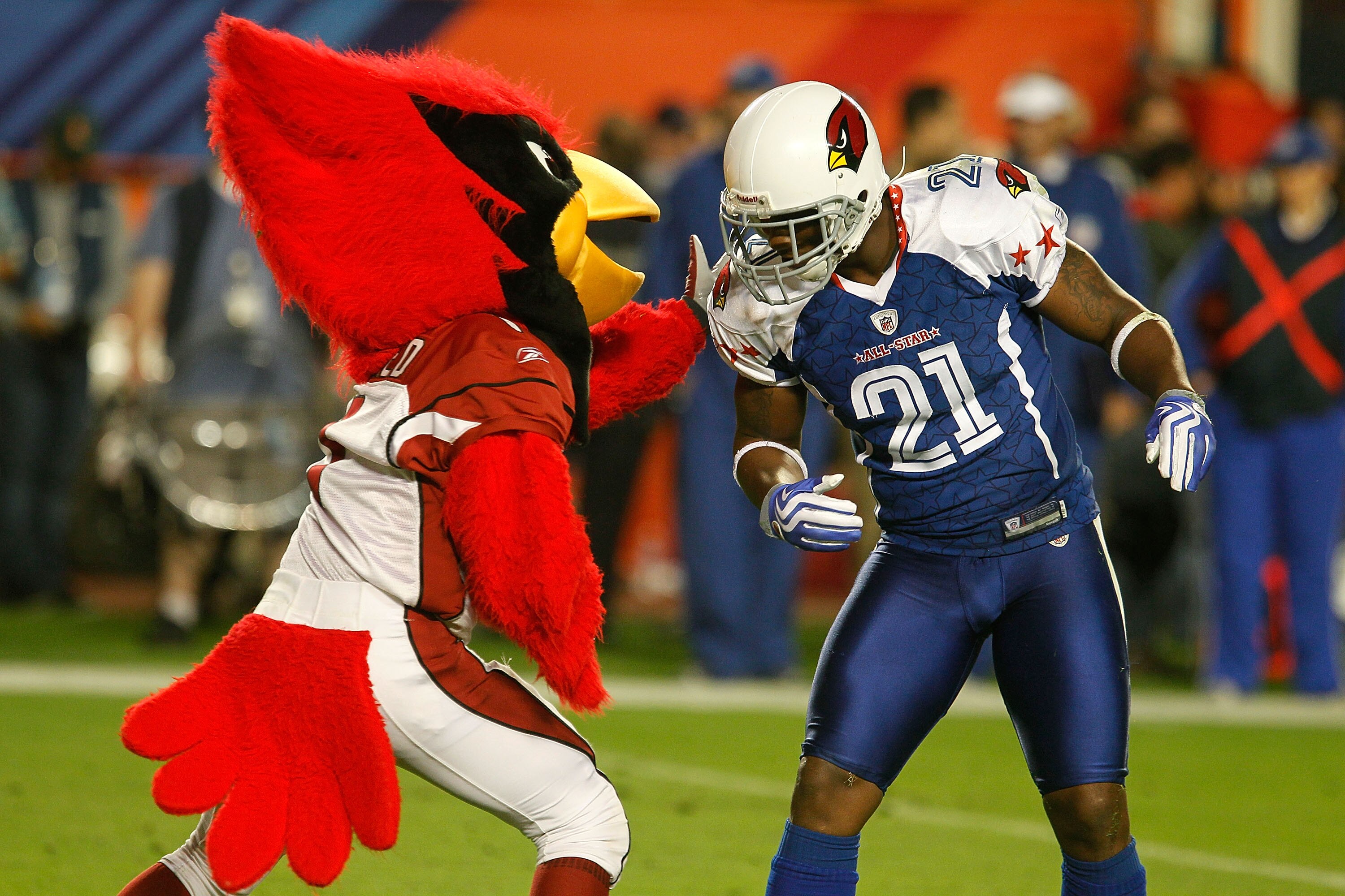 MIAMI GARDENS, FL - JANUARY 31:  Antrel Rolle #21 of the Arizona Cardinals greets his team mascot during the 2010 AFC-NFC Pro Bowl at Sun Life Stadium on January 31, 2010 in Miami Gardens, Florida.  (Photo by Scott Halleran/Getty Images)