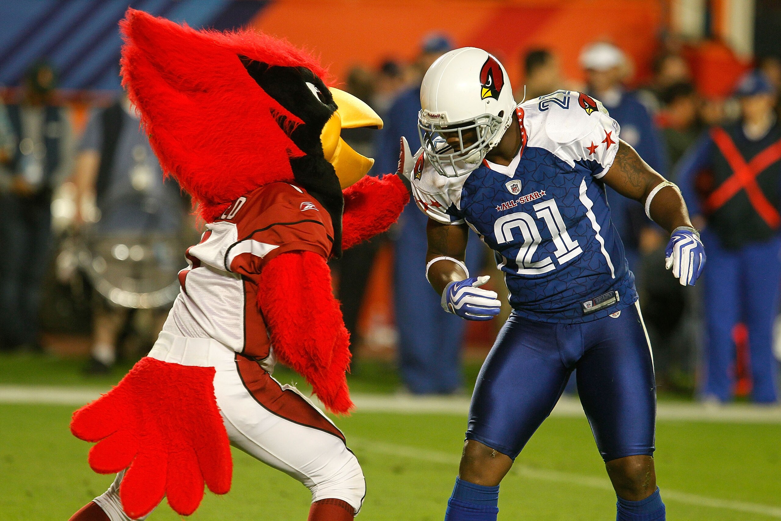 MIAMI GARDENS, FL - JANUARY 31:  Antrel Rolle #21 of the Arizona Cardinals greets his team mascot during the 2010 AFC-NFC Pro Bowl at Sun Life Stadium on January 31, 2010 in Miami Gardens, Florida.  (Photo by Scott Halleran/Getty Images)